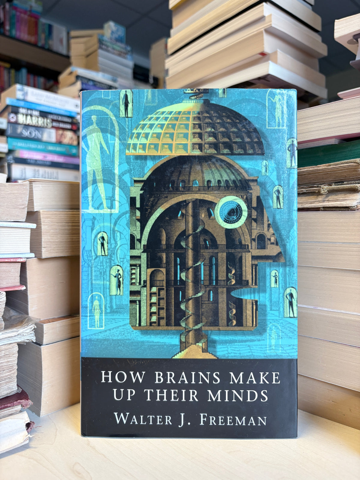 Walter J. Freeman - How Brains Make Up Their Minds