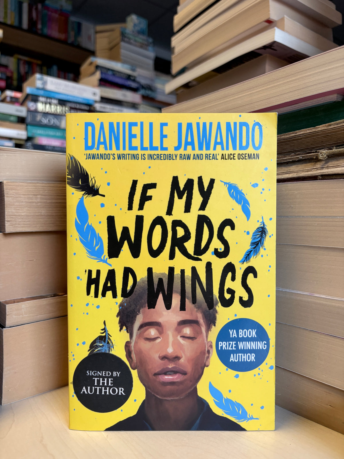 Danielle Jawando - If My Words Had Wings