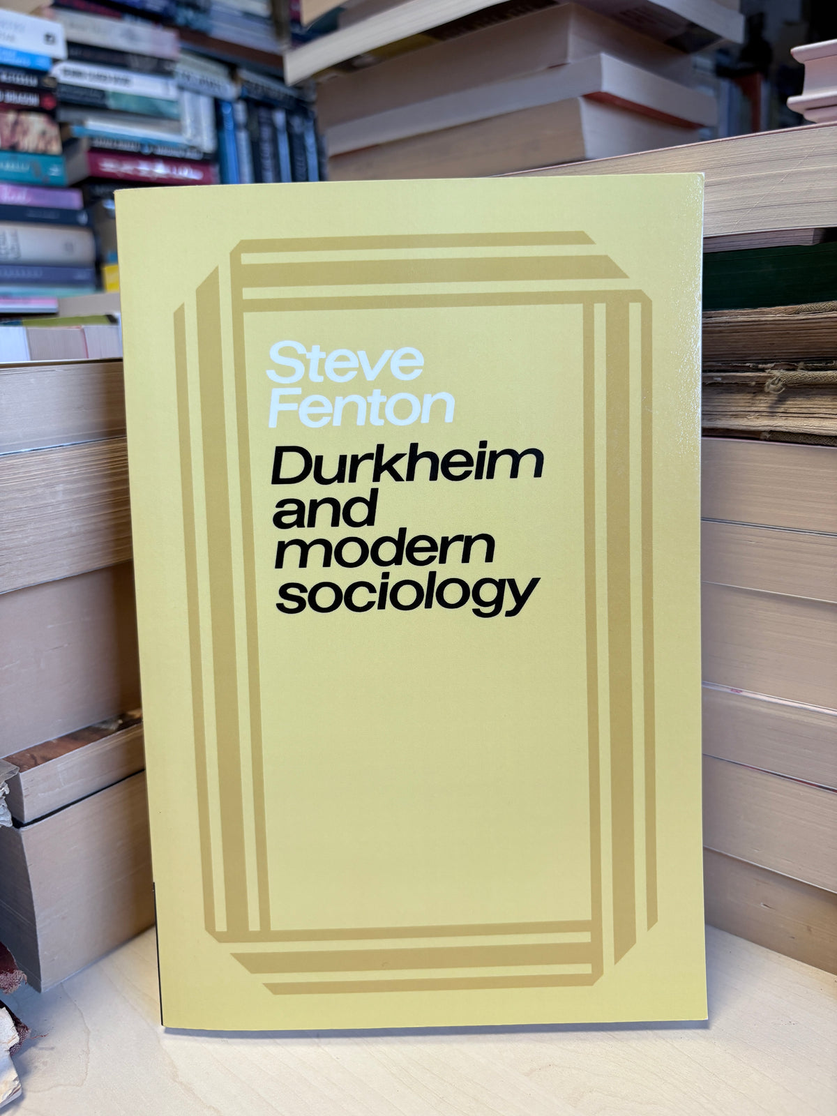 Steve Fenton - Durkheim and Modern Sociology