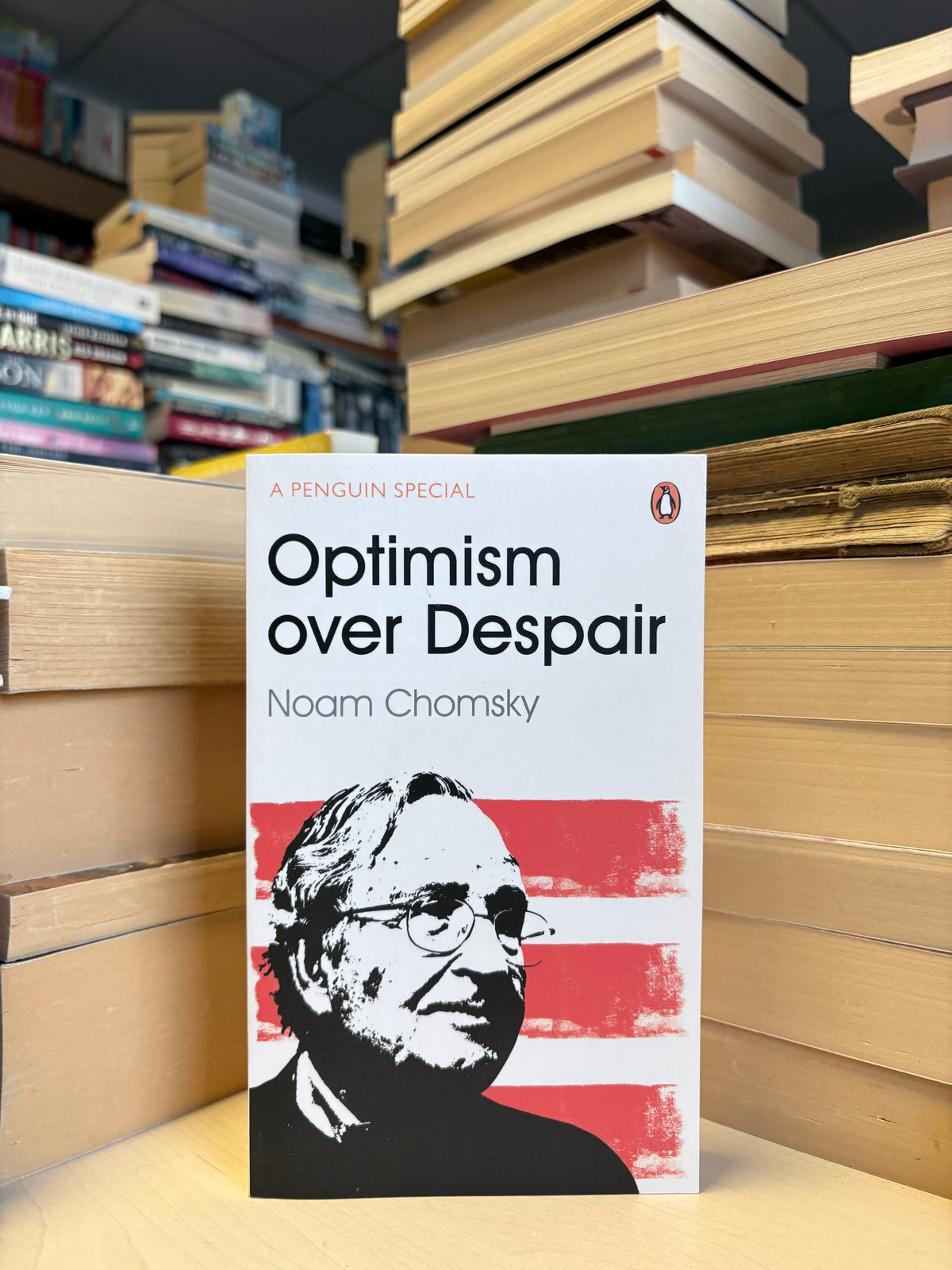 Noam Chomsky - Optism Over Despair