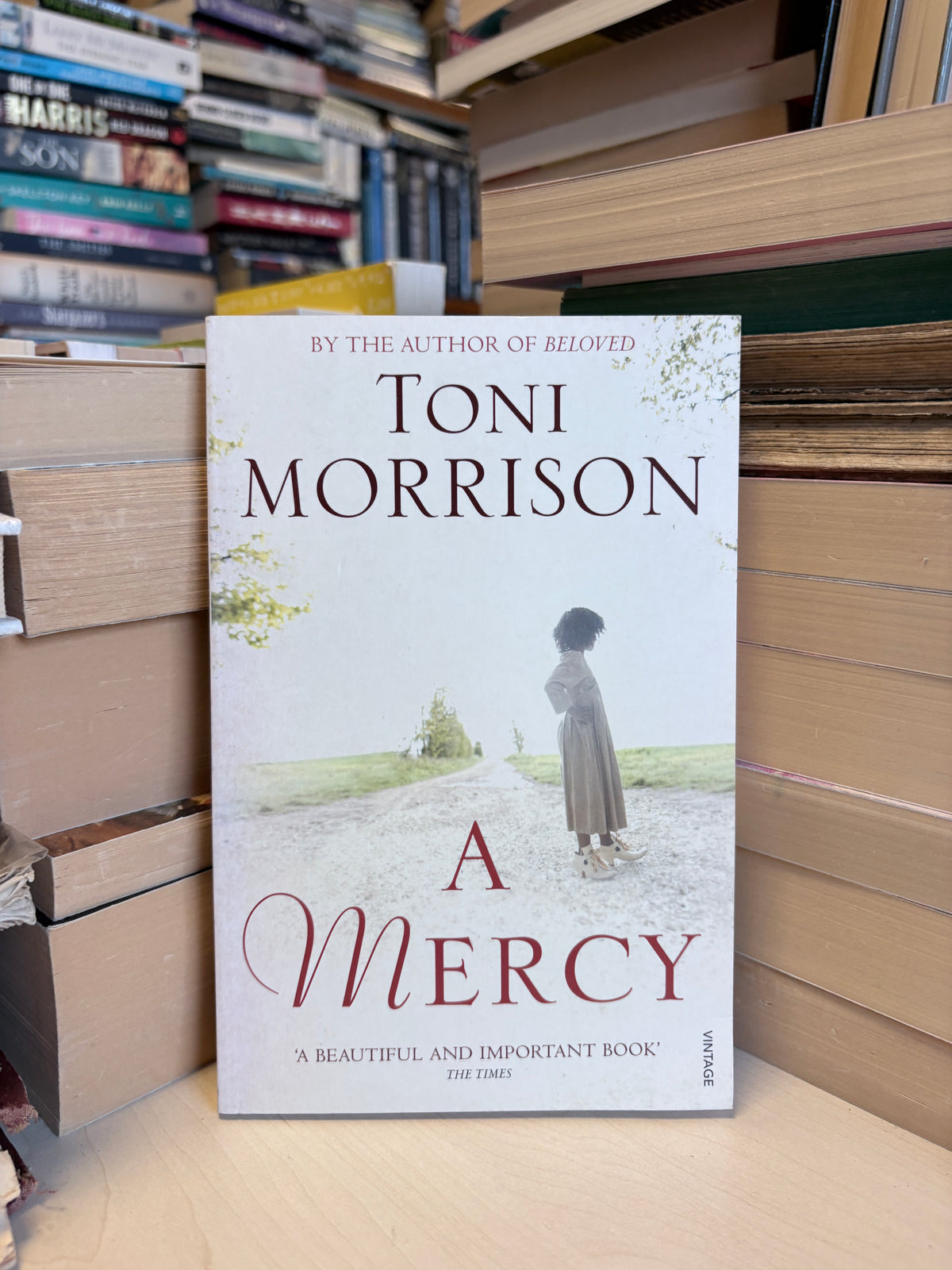 Toni Morrison - A Mercy