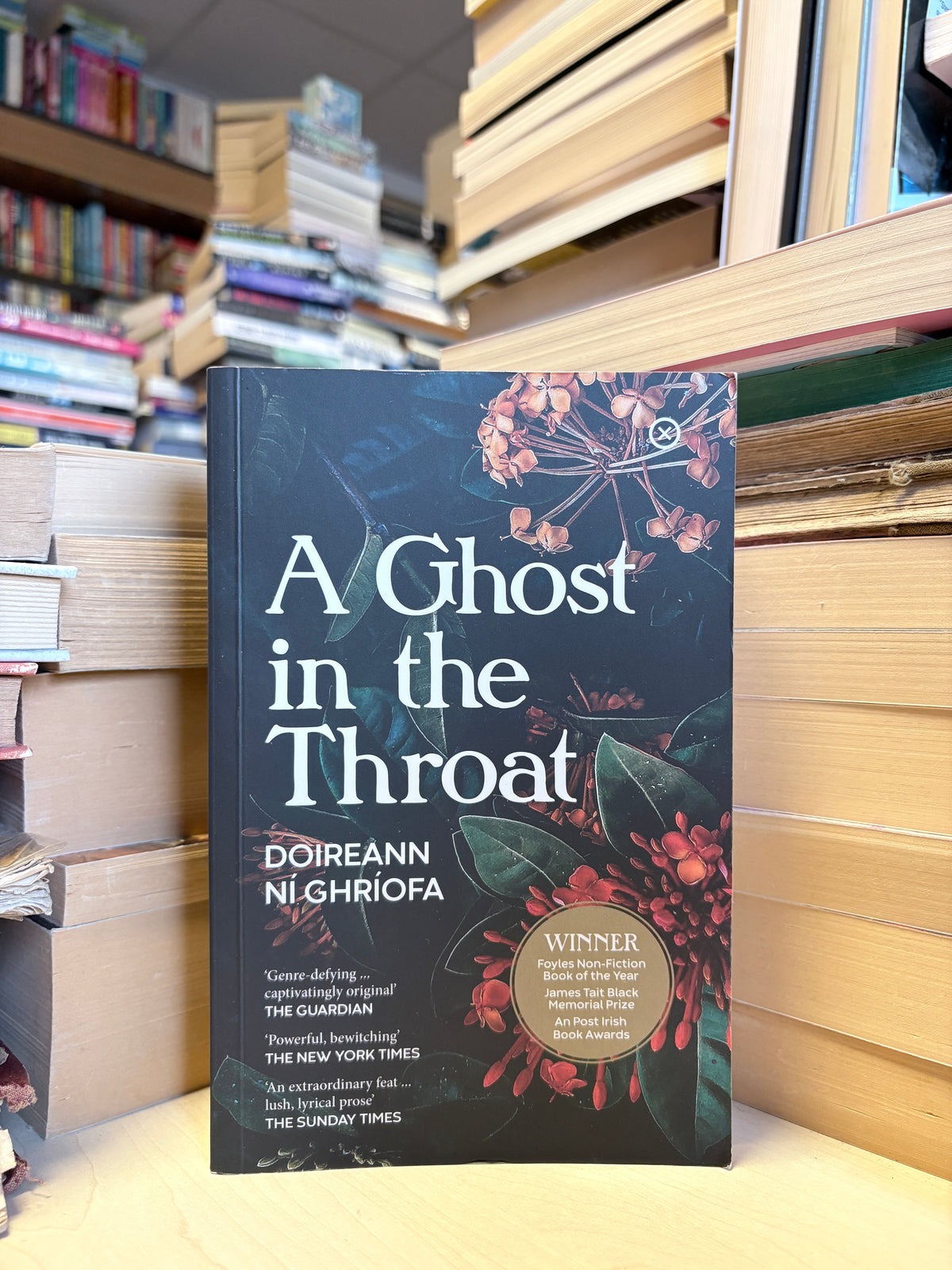 Doireann Ni Ghriofa - A Ghost in the Throat