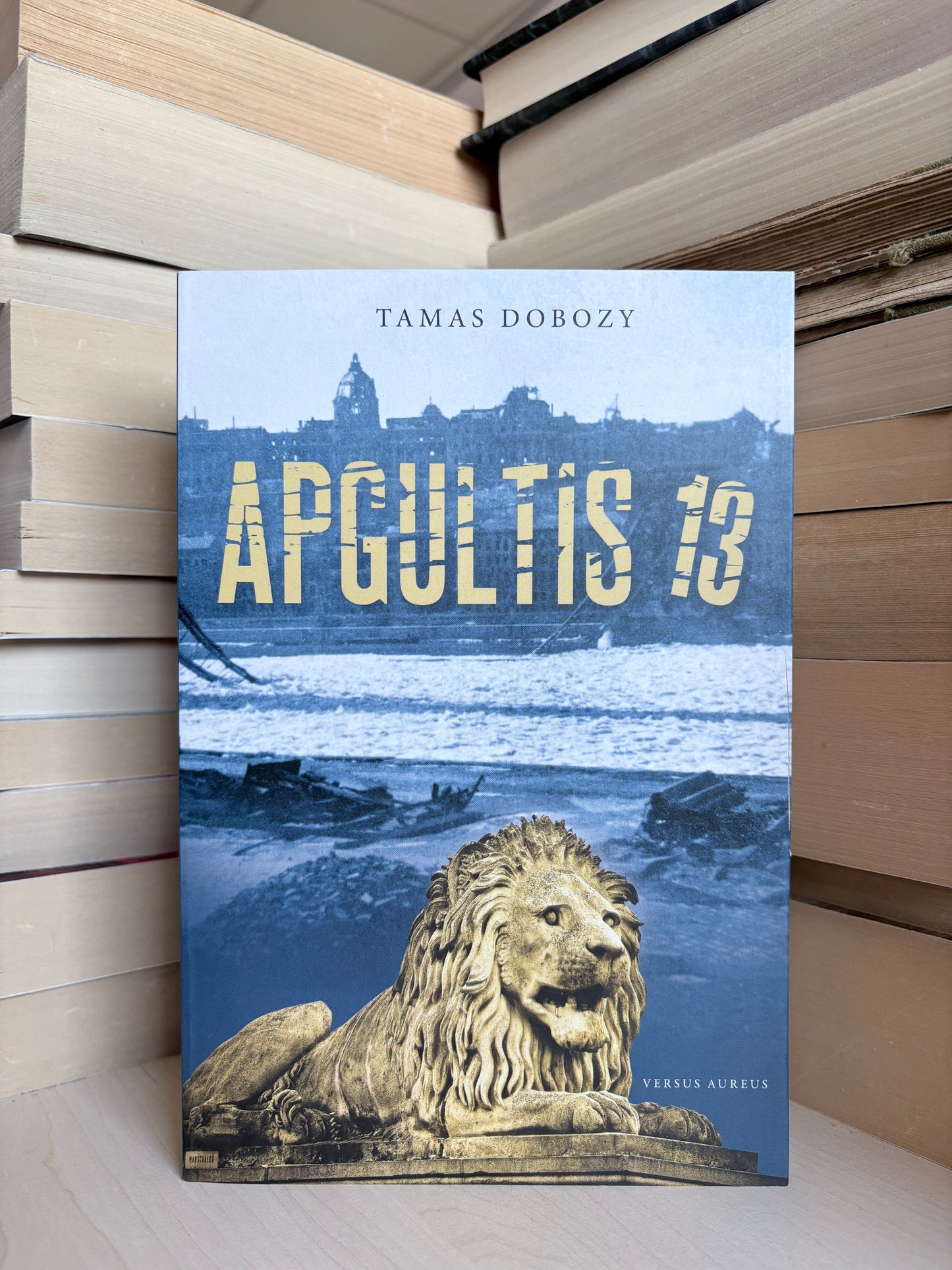 Tamas Dobozy - ,,Apgultis 13"