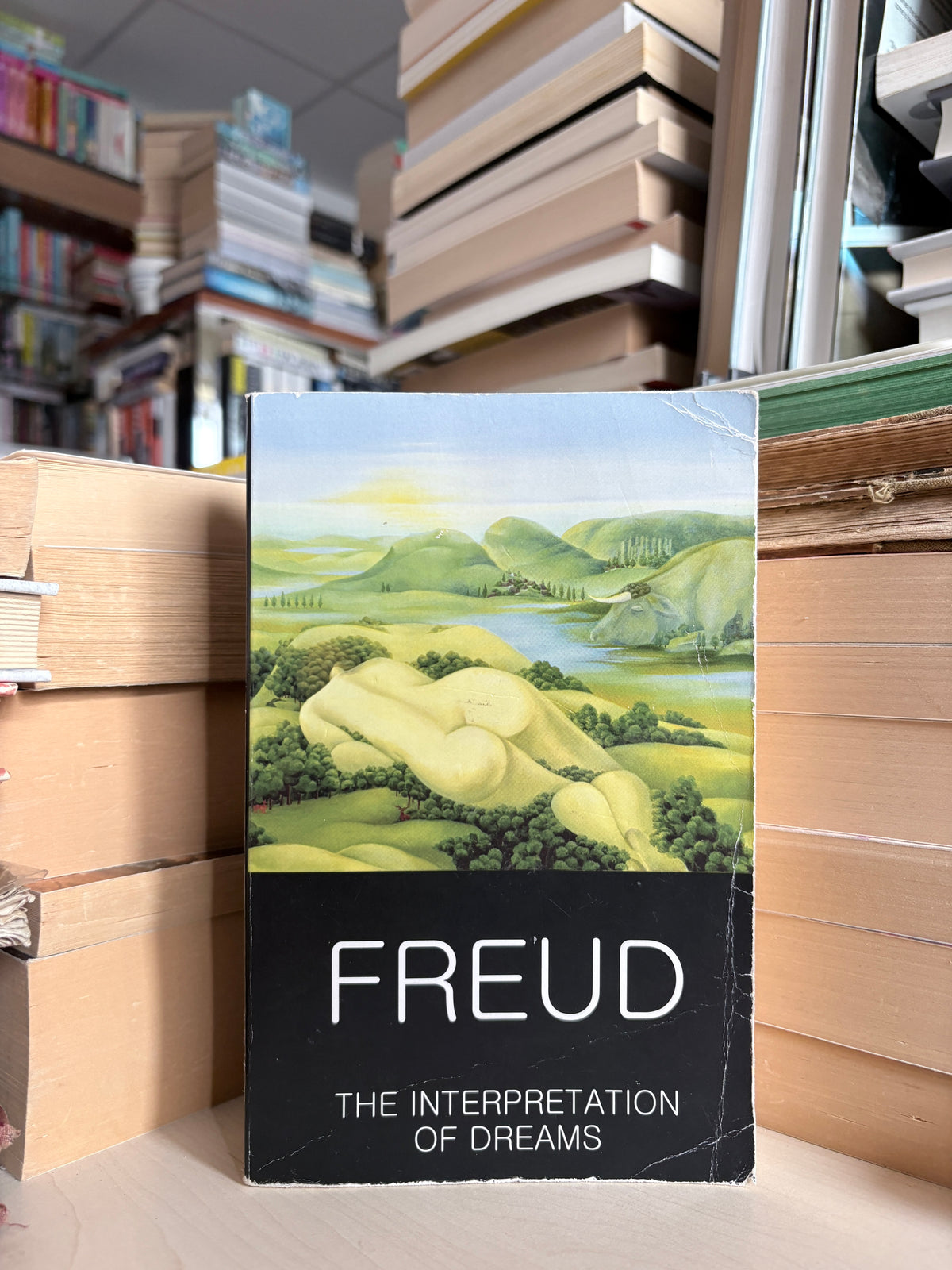 Sigmund Freud - The Interpretation of Dreams