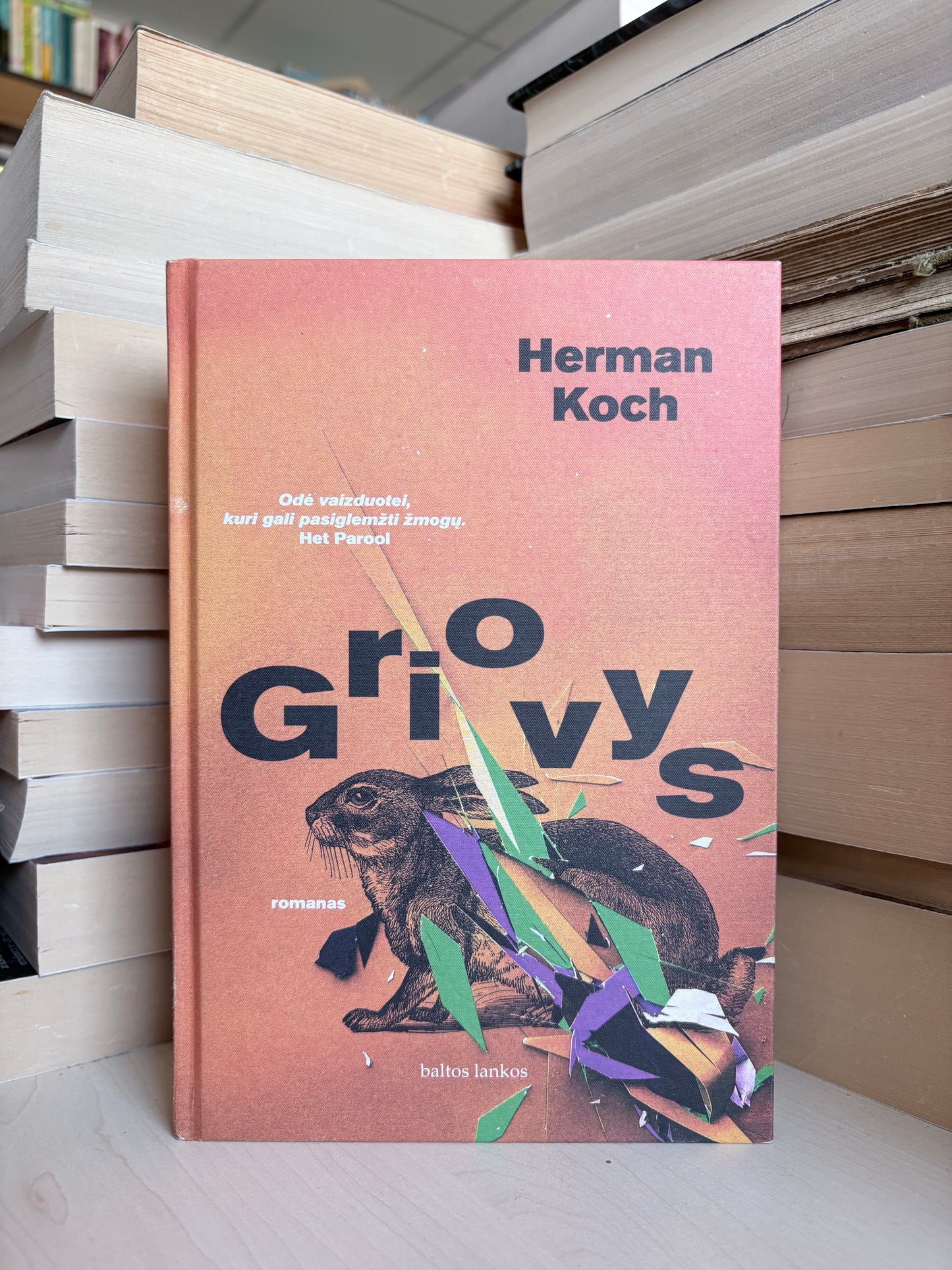 Herman Koch - ,,Griovys"