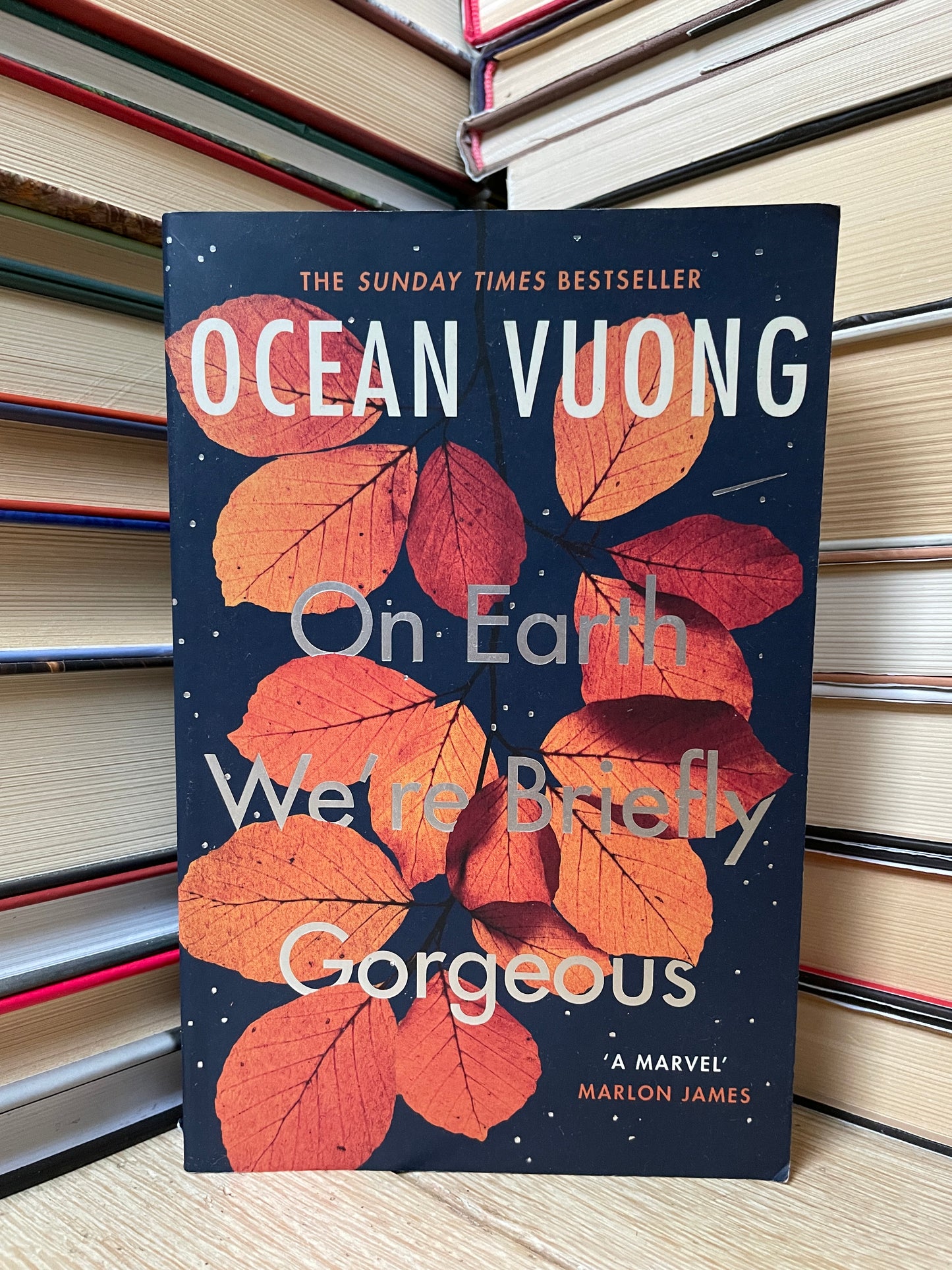Ocean Vuong - On Earth We're Briefly Gorgeous