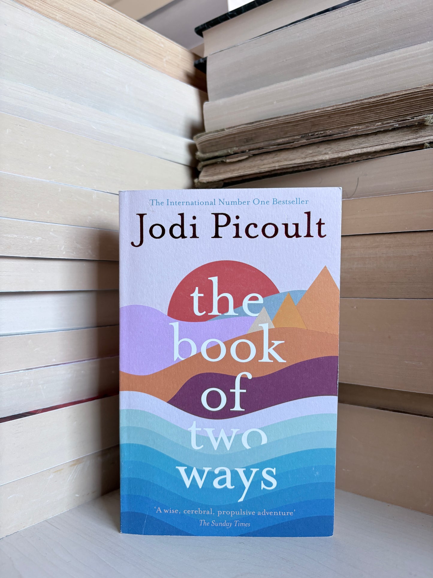 Jodi Picoult - The Book of Two Ways