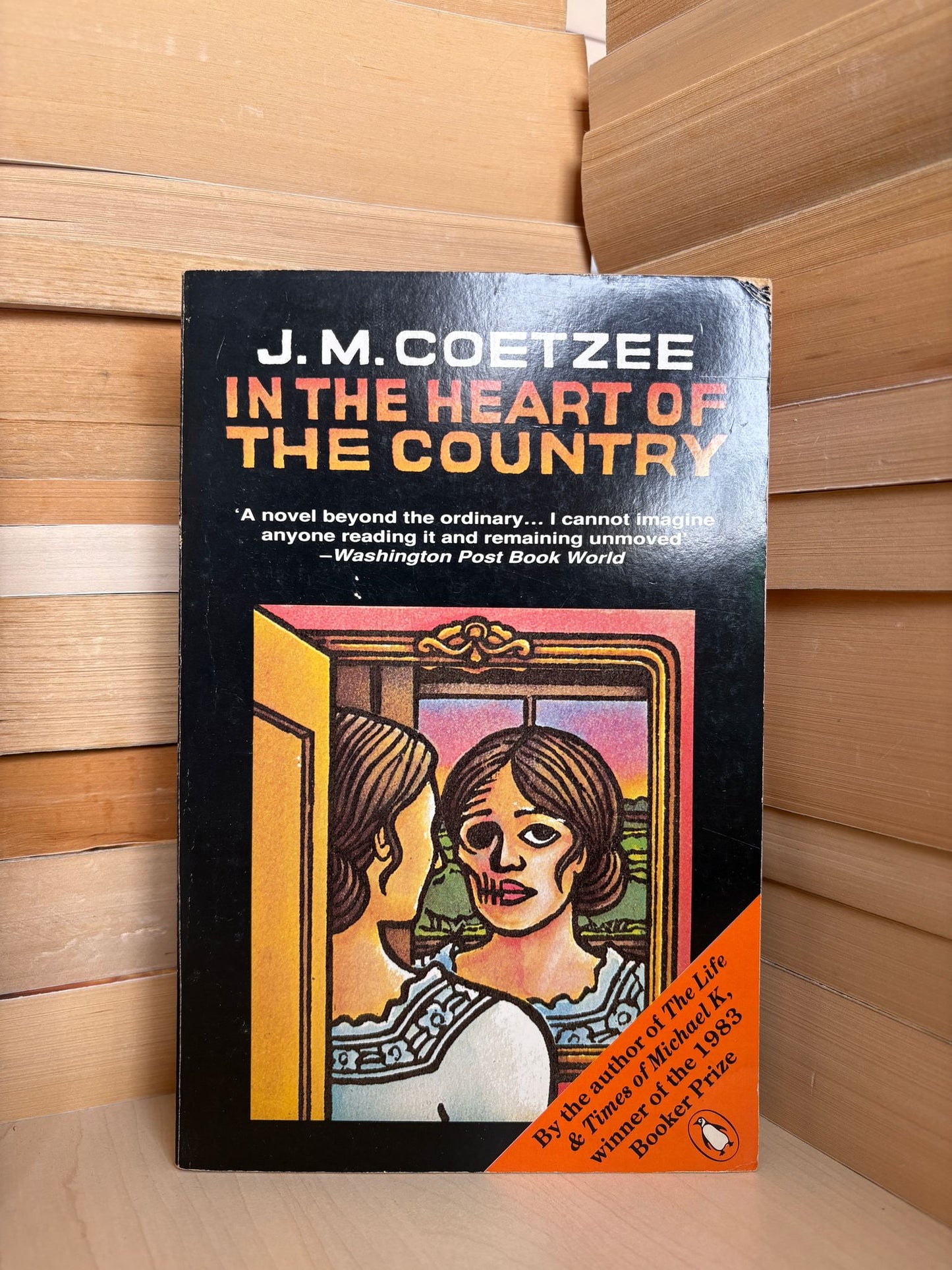 J. M. Coetzee - In the Heart of the Country