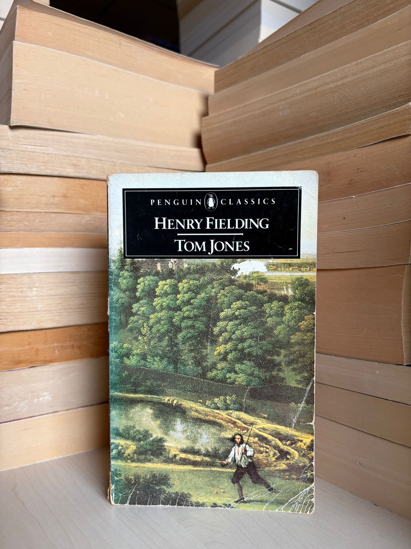 Henry Fielding - Tom Jones