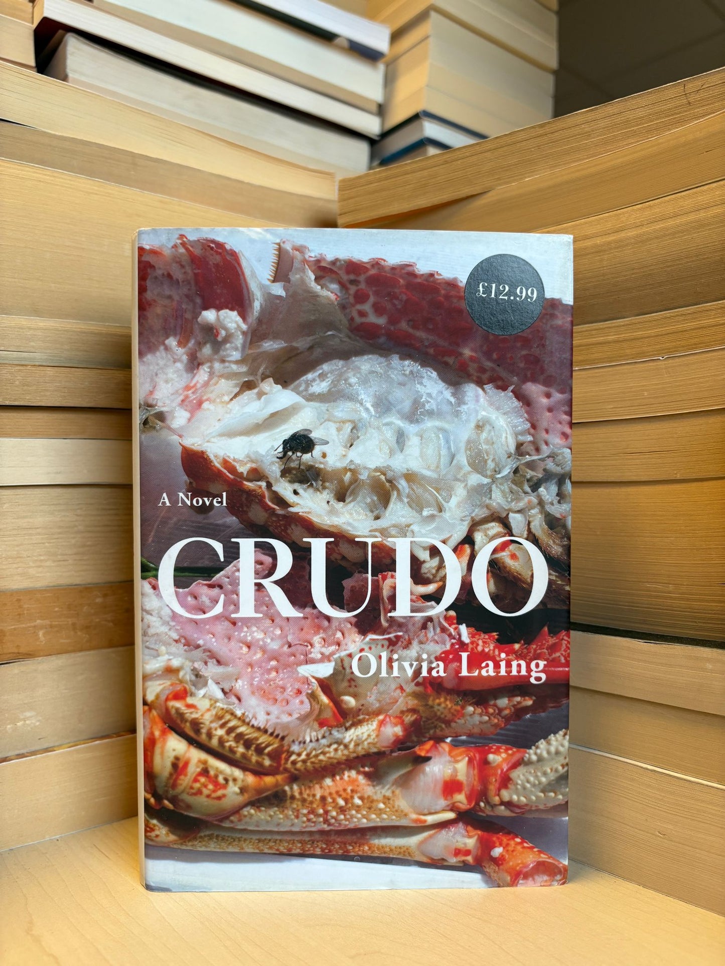 Olivia Laing - Crudo