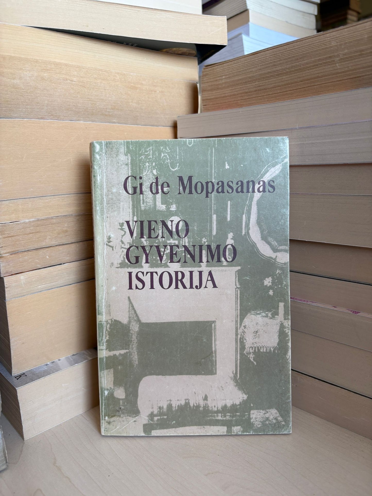 Guy de Maupassant - ,,Vieno gyvenimo istorija"