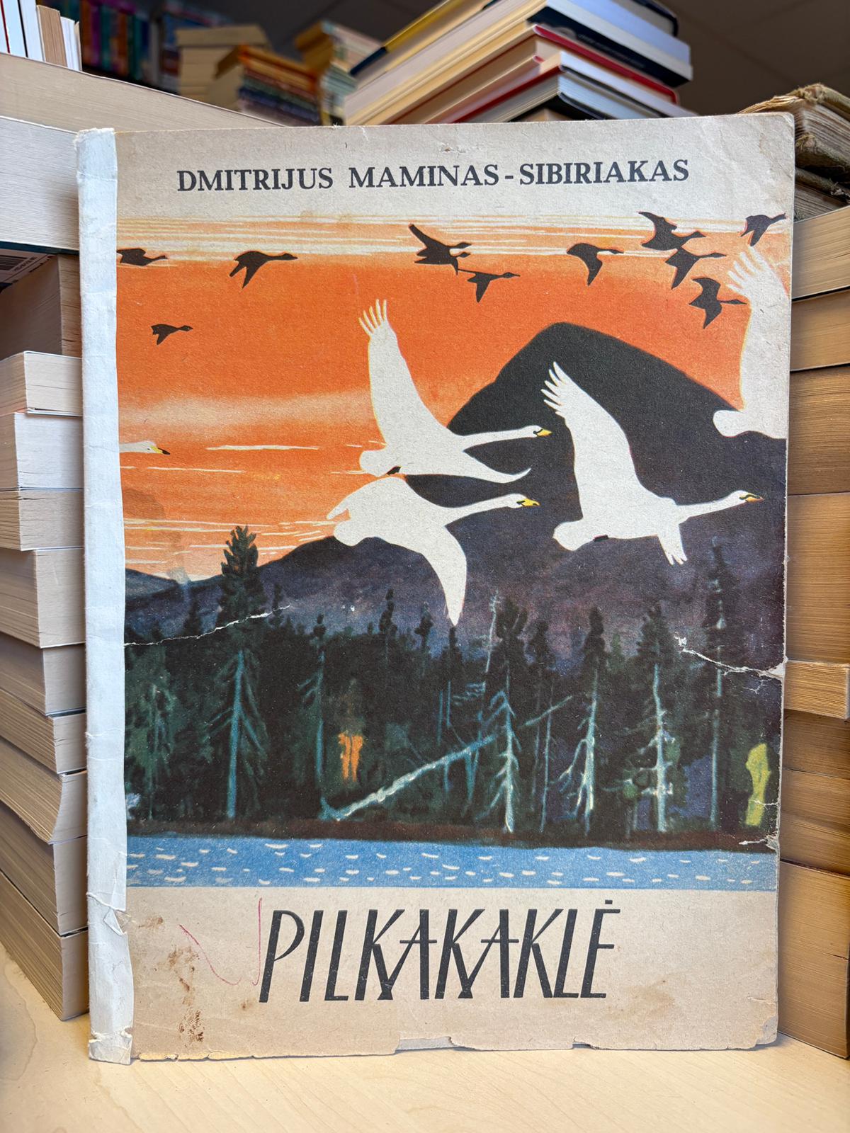 Dmitrijus Maminas-Sibiriakas - ,,Pilkakaklė"