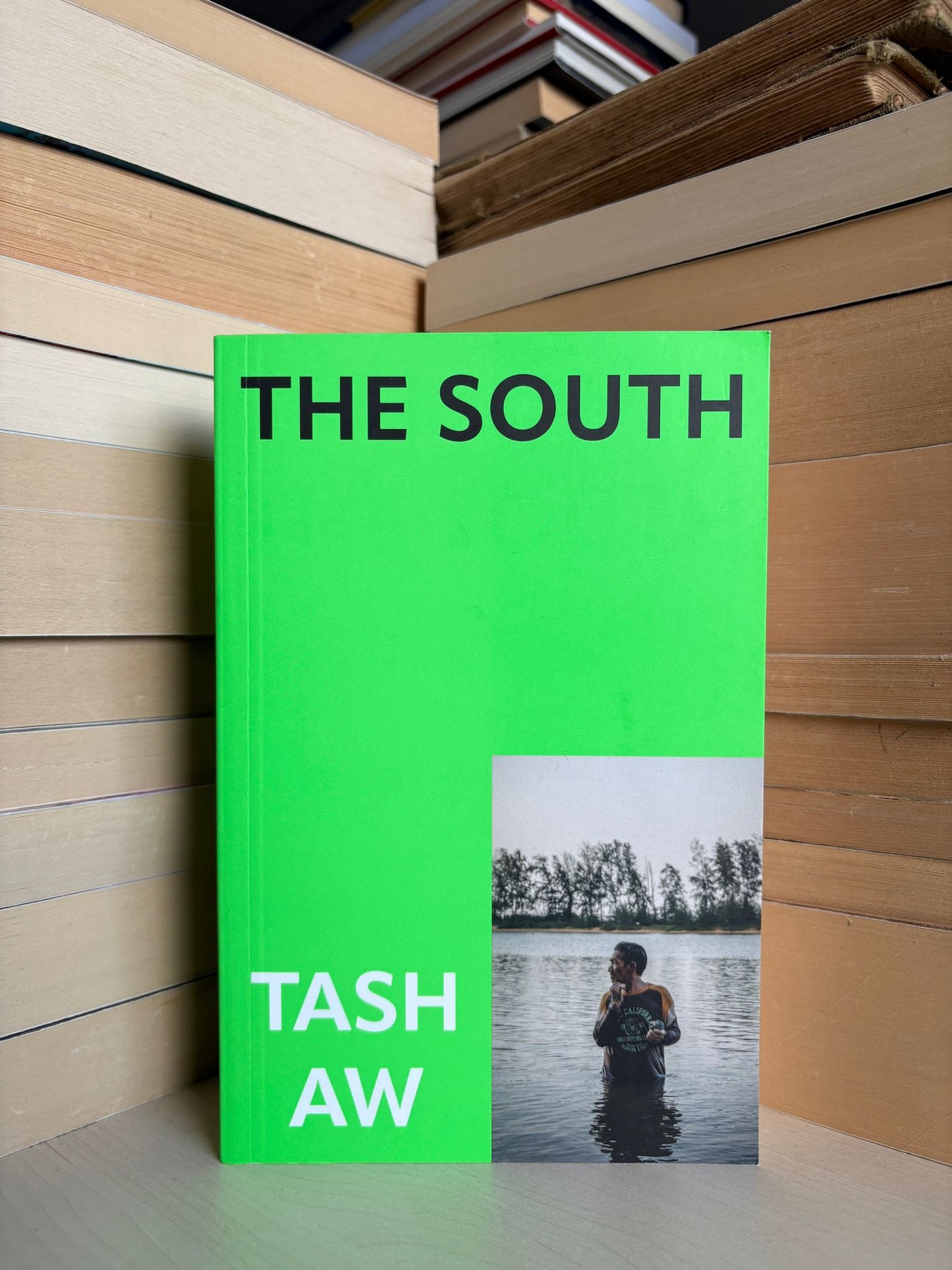 Tash Aw - The South