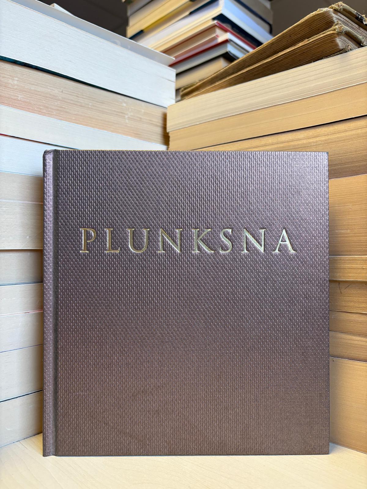 Gerard Bessiere - ,,Plunksna"