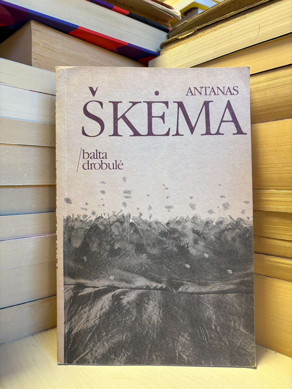 Antanas Škėma - ,,Balta drobulė"