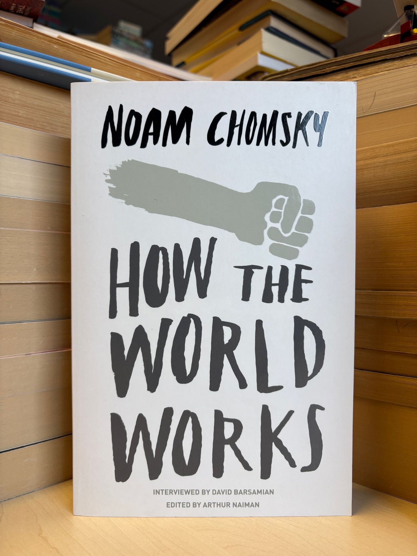 Noam Chomsky - How the World Works