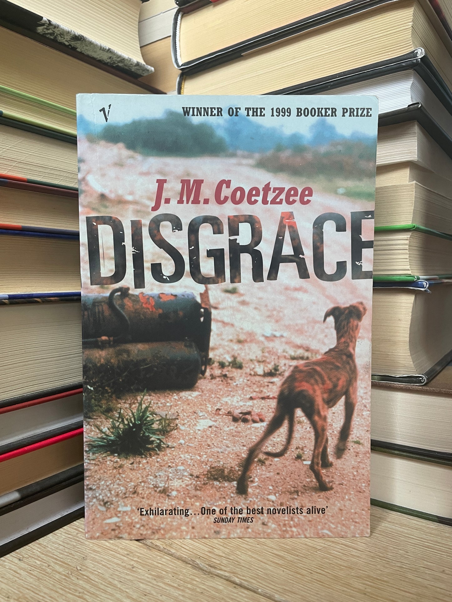 J. M. Coetzee - Disgrace