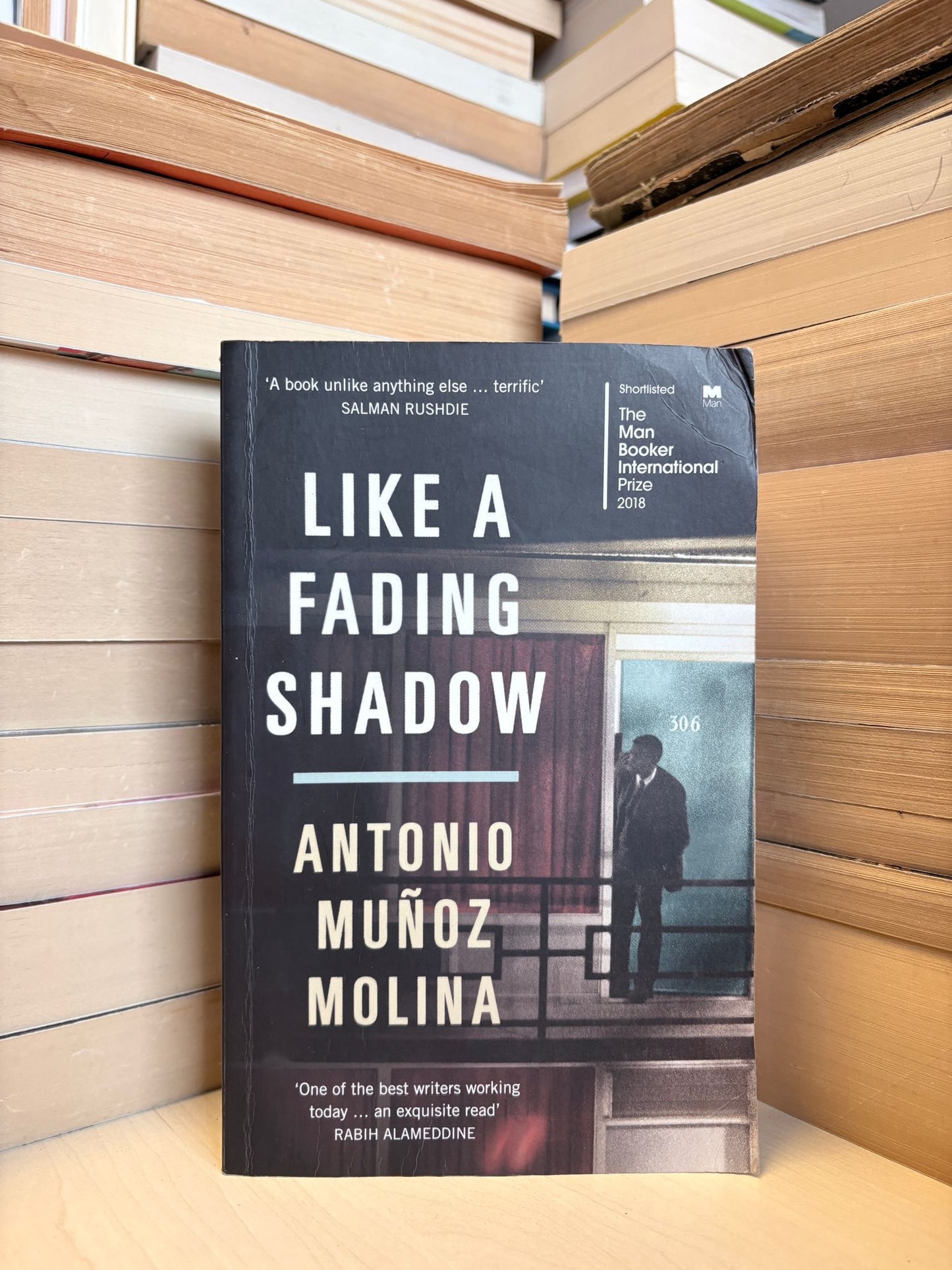 Antonio Munoz Molina - Like a Fading Shadow