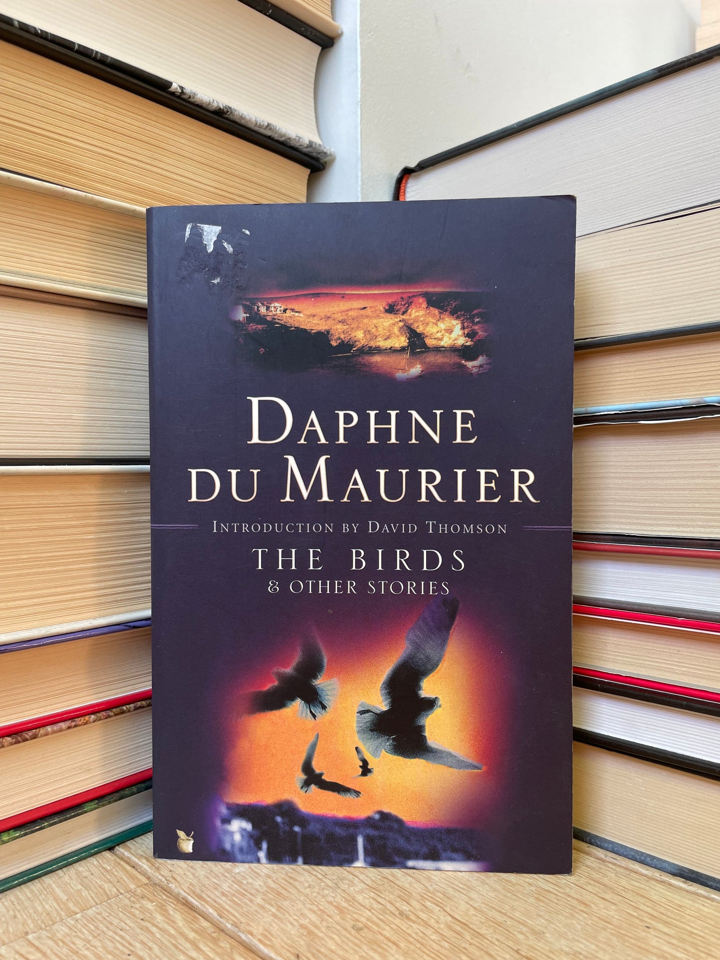 Daphne du Maurier - The Birds and Other Stories