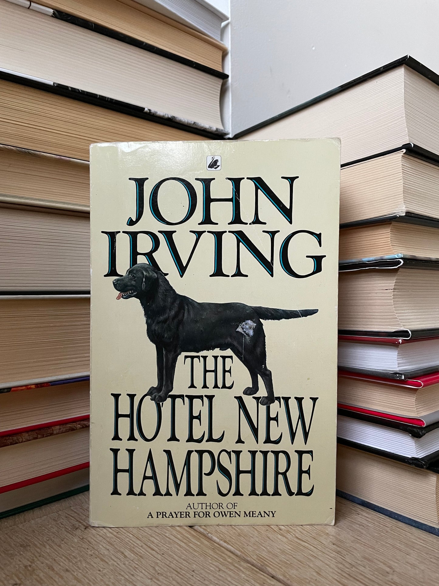 John Irving - The Hotel New Hampshire