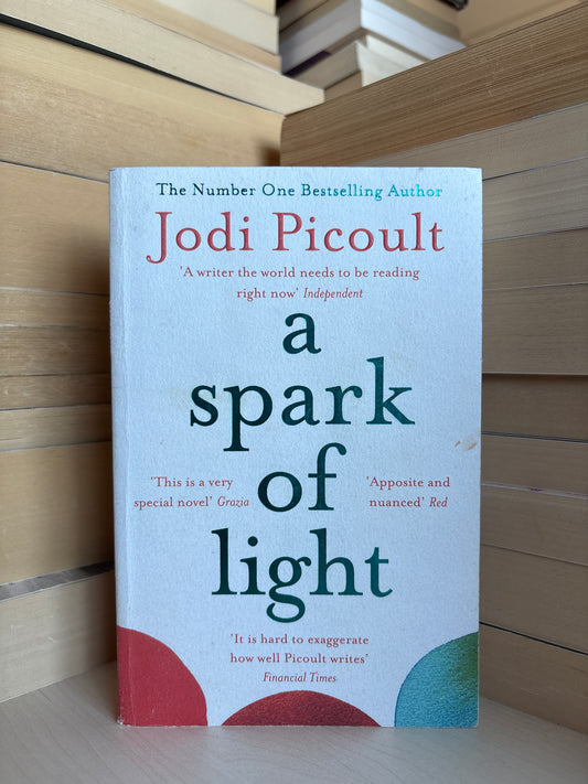Jodi Picoult - A Spark of Light