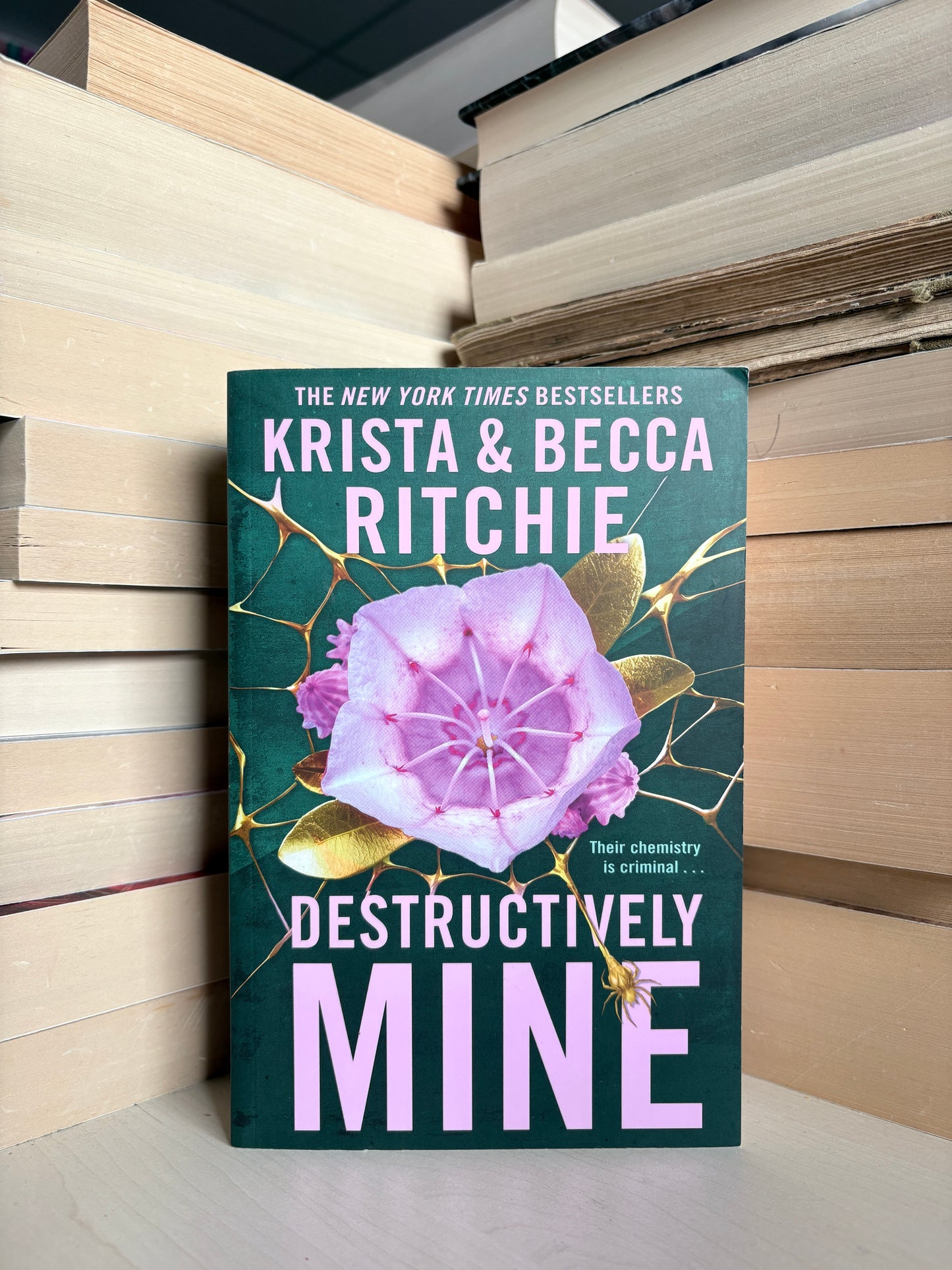 Krista and Becca Ritchie - Destructively Mine