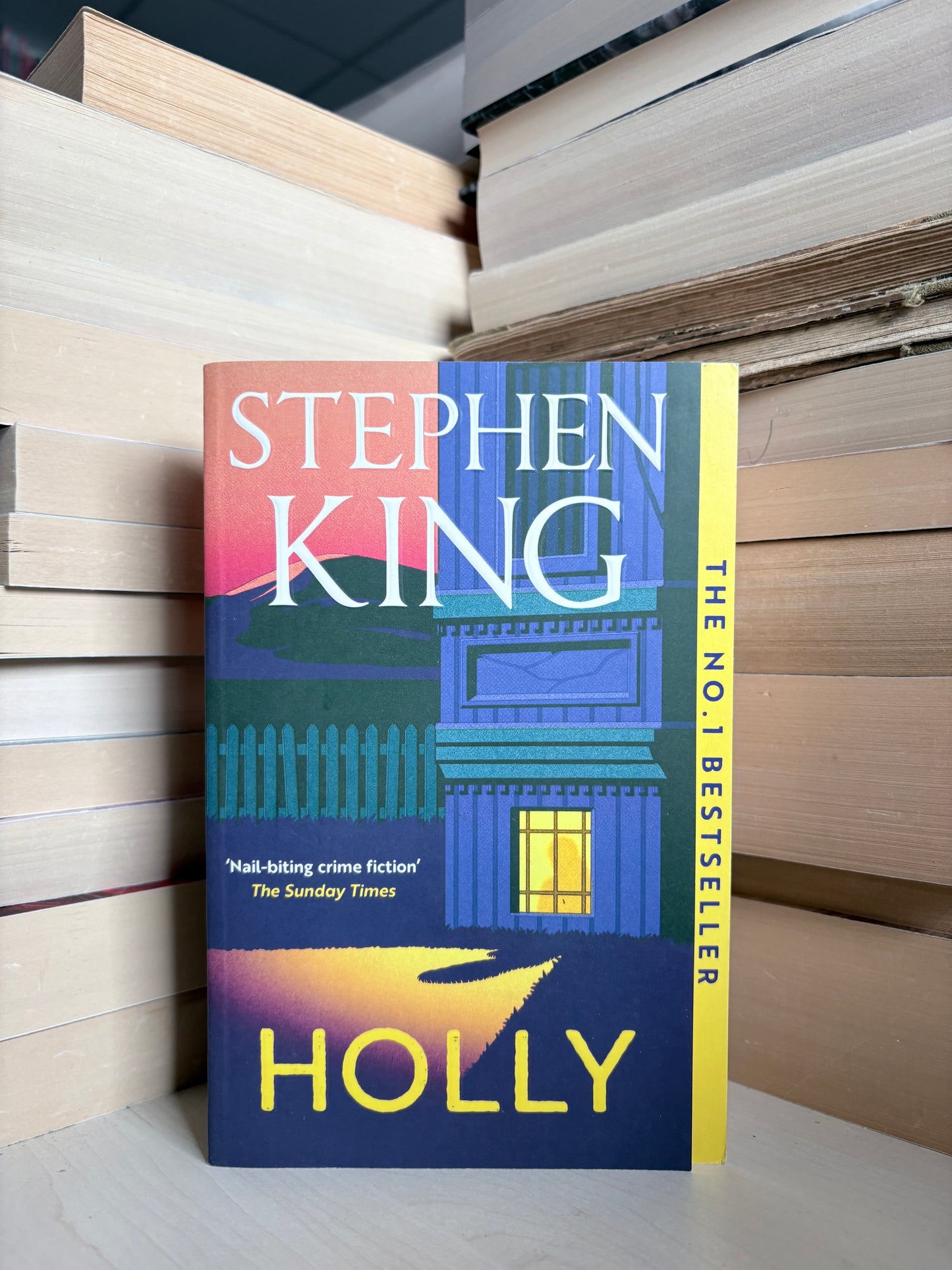 Stephen King - Holly