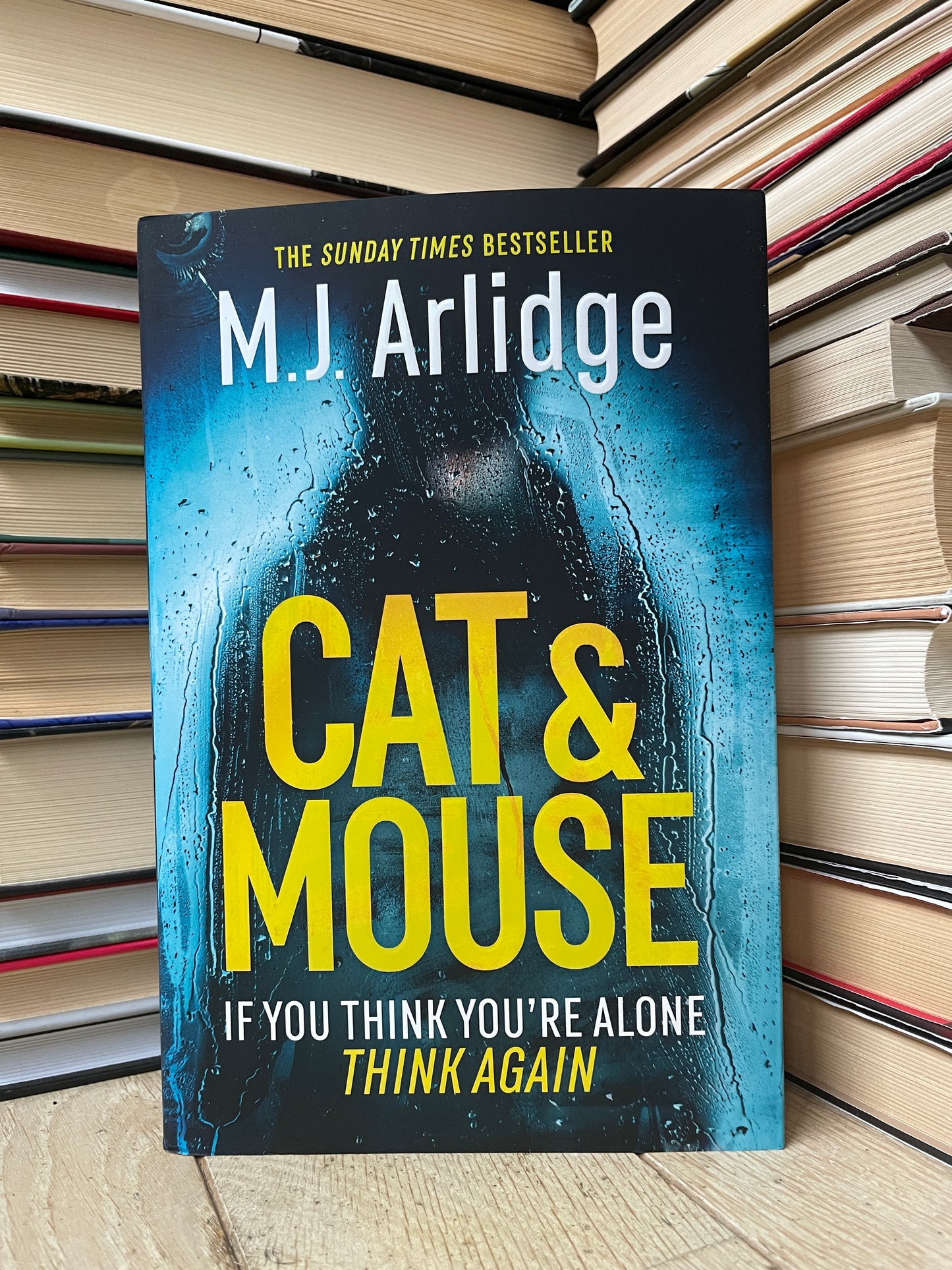 M. J. Arlidge - Cat and Mouse (NAUJA)