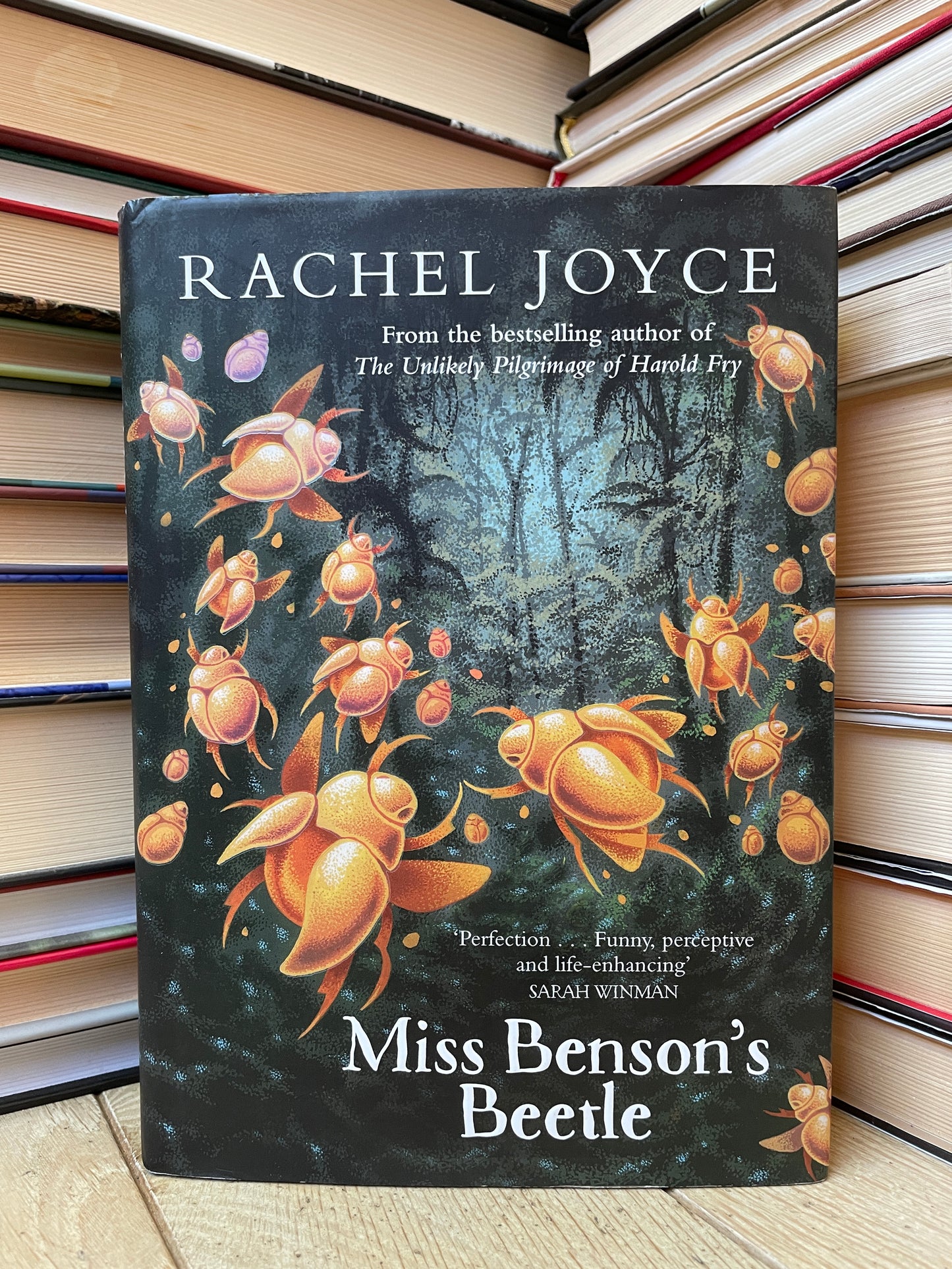 Rachel Joyce - Miss Benson's Beetle