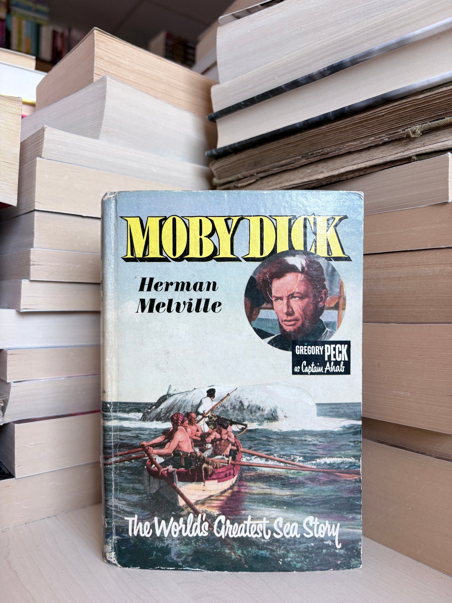 Herman Melville - Moby Dick (sutrumpinta)