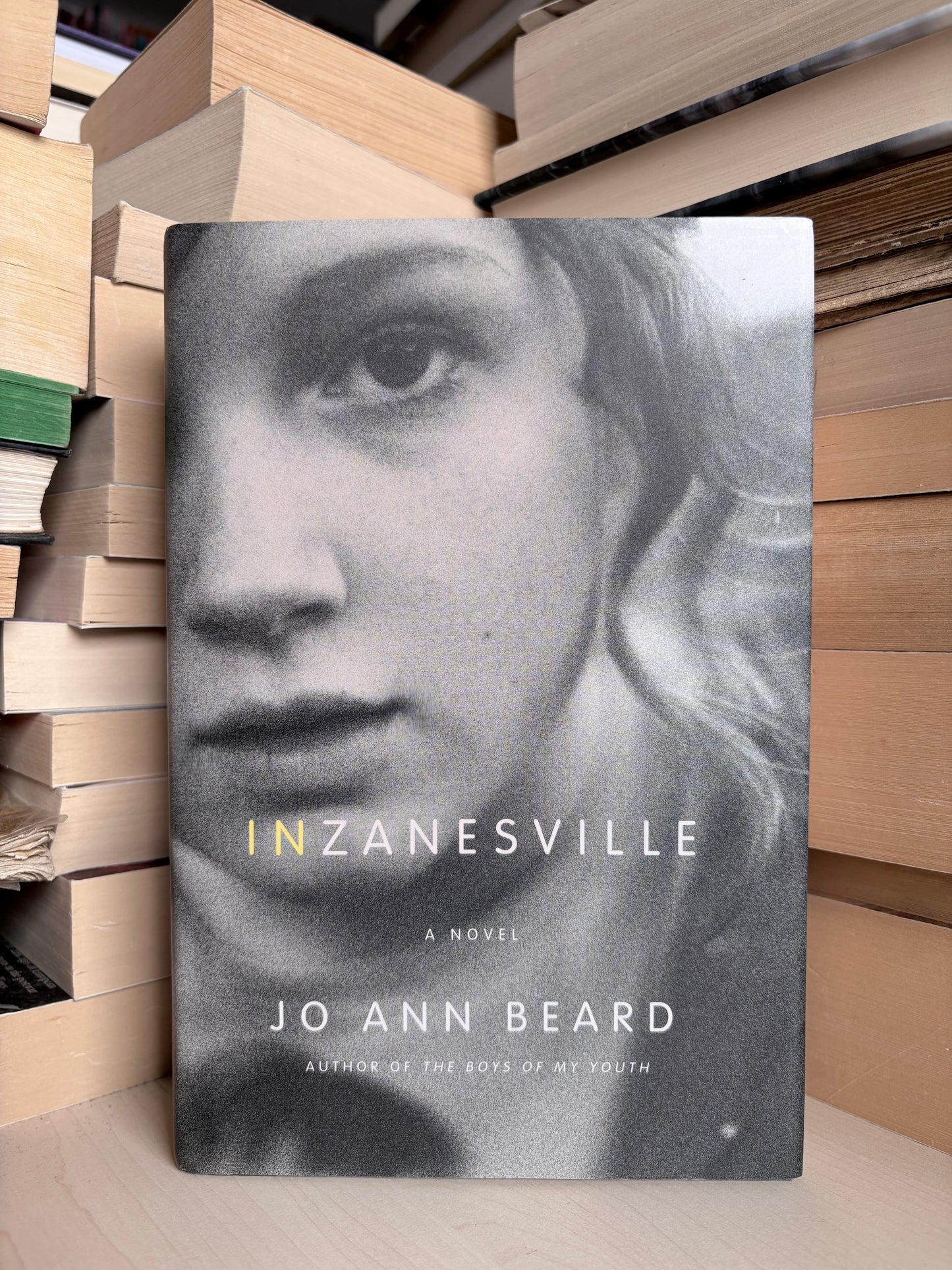 Jo Ann Beard - In Zanesville