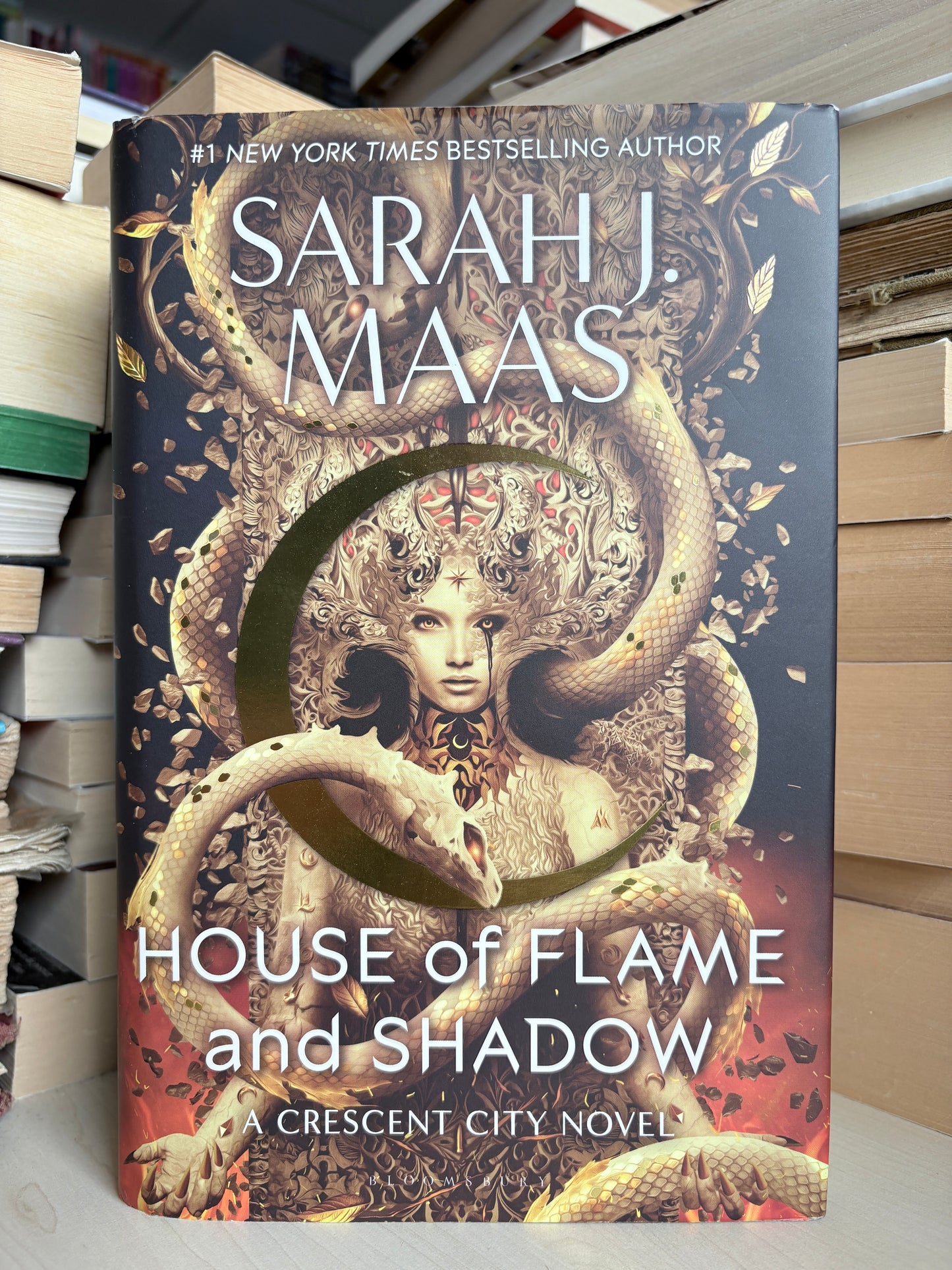 Sarah J. Maas - House of Flame and Shadow