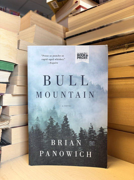 Brian Panowich - Bull Mountain