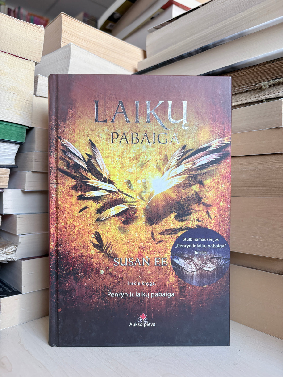 Susan Ee - ,,Laikų pabaiga