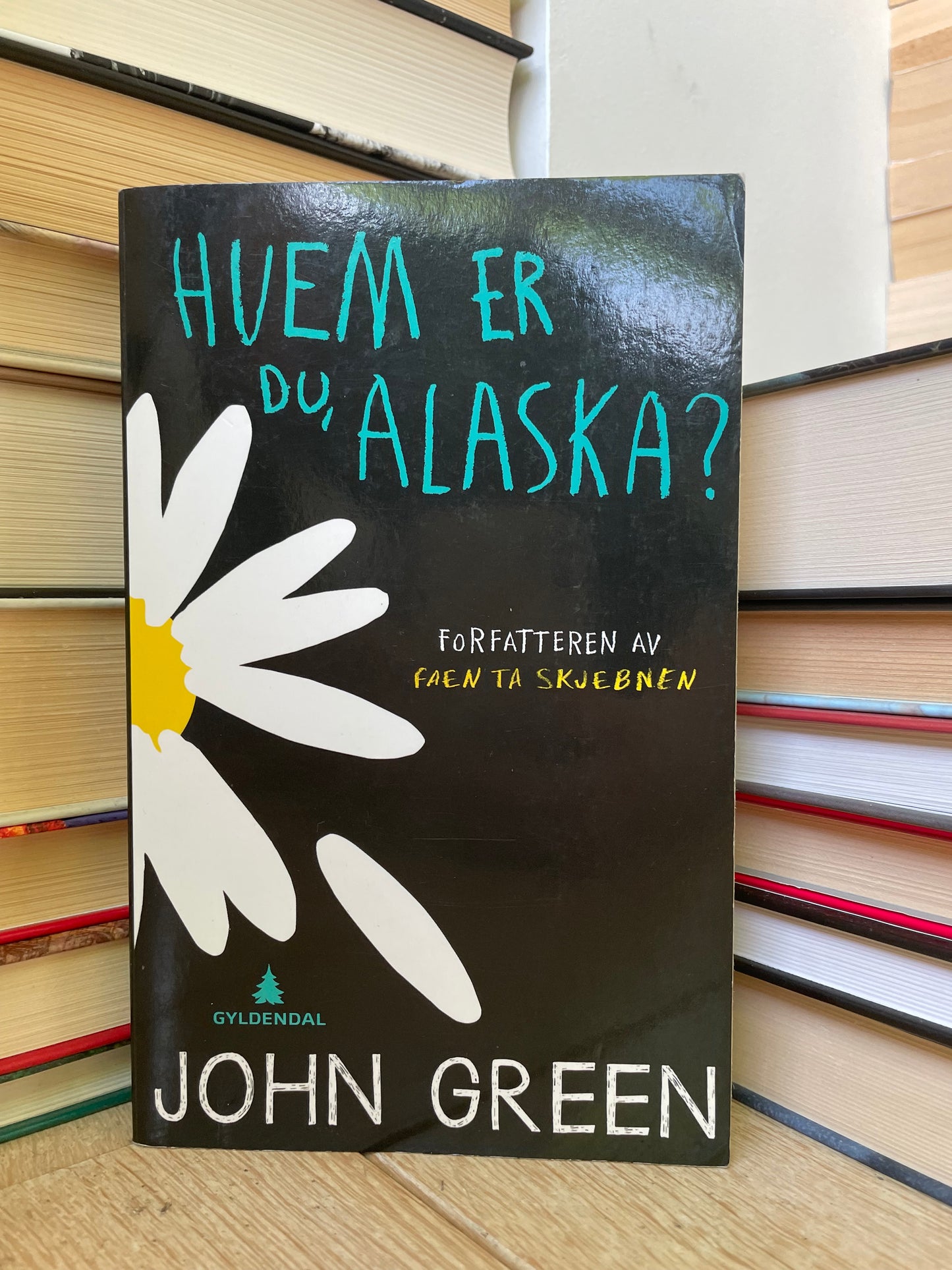 John Green - Hvem er du, Alaska? (norvegų)