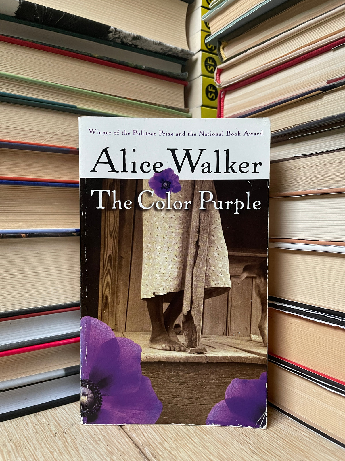 Alice Walker - The Color Purple