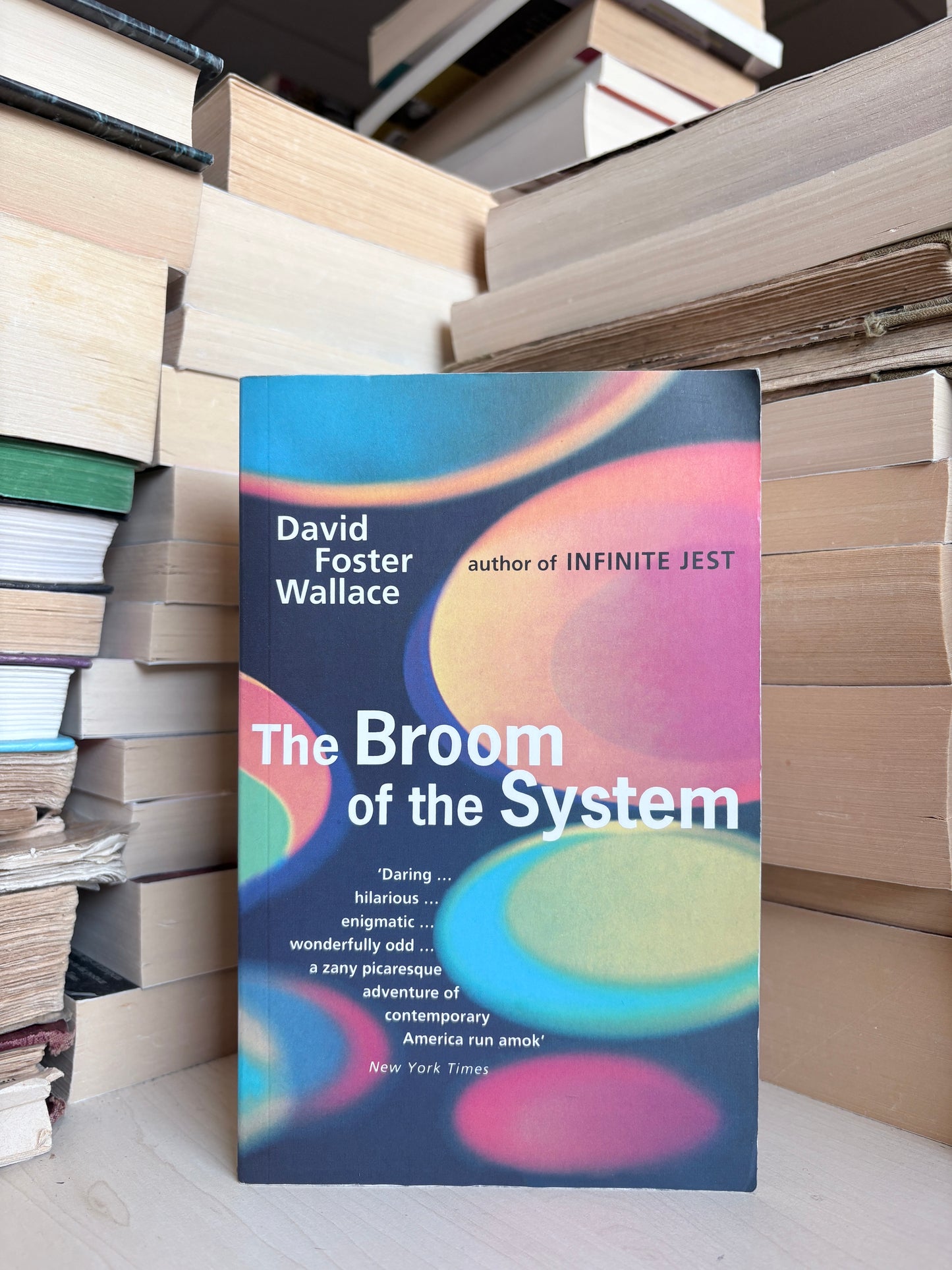 David Foster Wallace - The Broom of the System