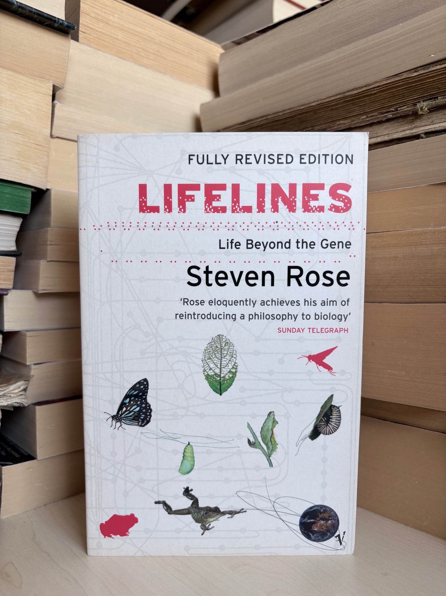 Steven Rose - Lifelines