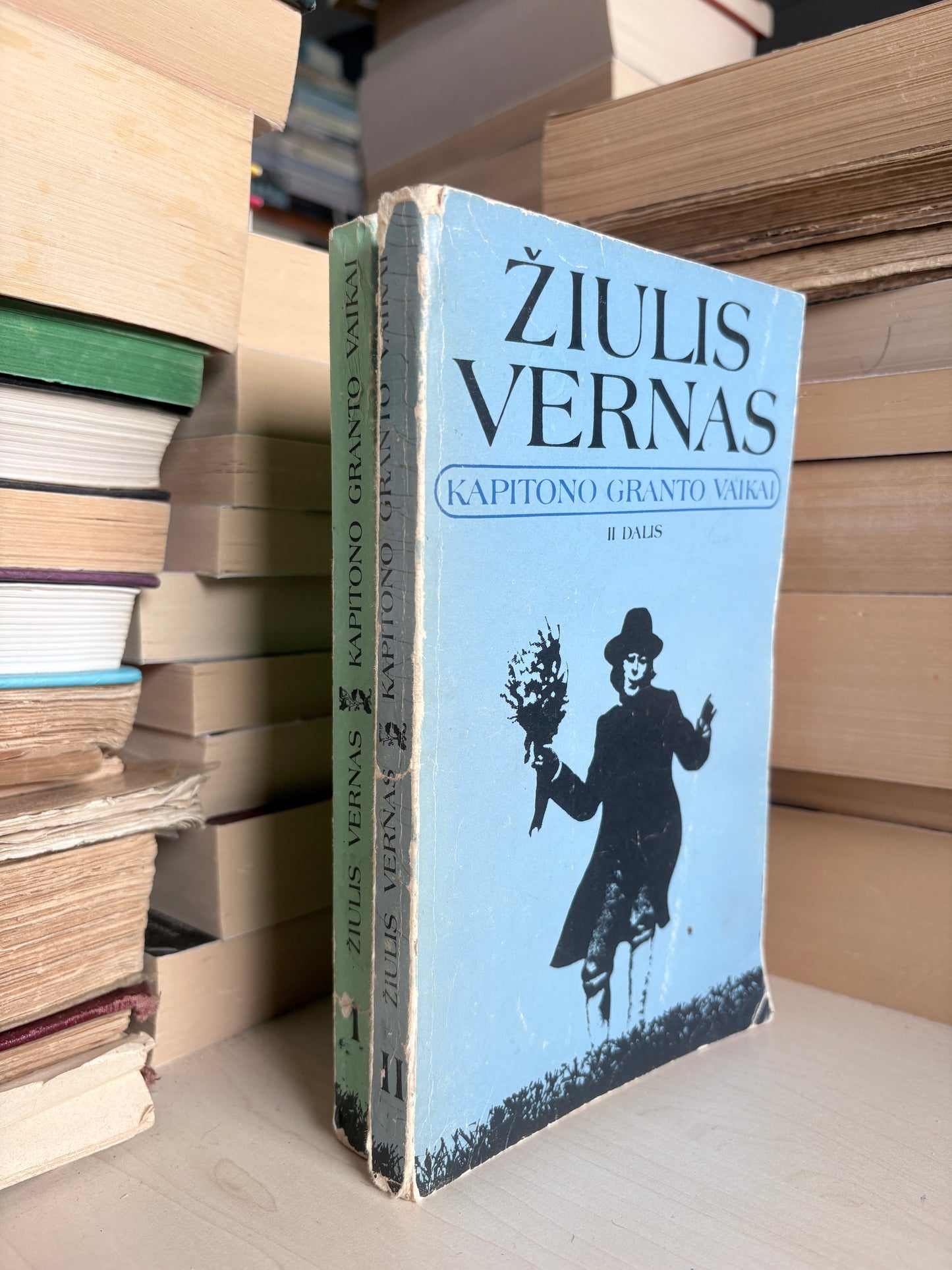 Žiulis Vernas - ,,Kapitono Granto vaikai"