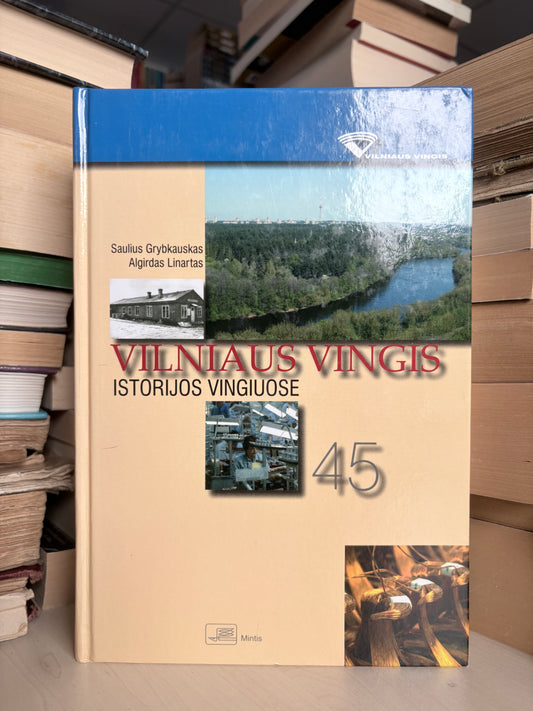 Saulius Grybkauskas, Algirdas Linartas - ,,Vilniaus vingis: istorijos vingiuose"