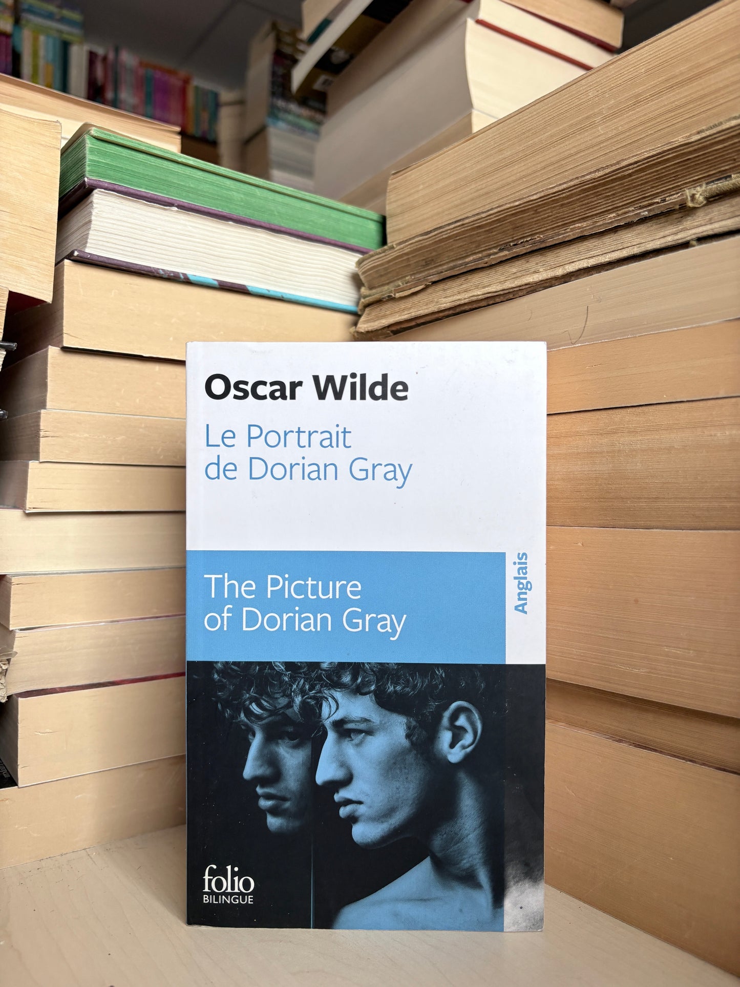 Oscar Wilde - Le Portrait de Dorian Gray (prancūzų)
