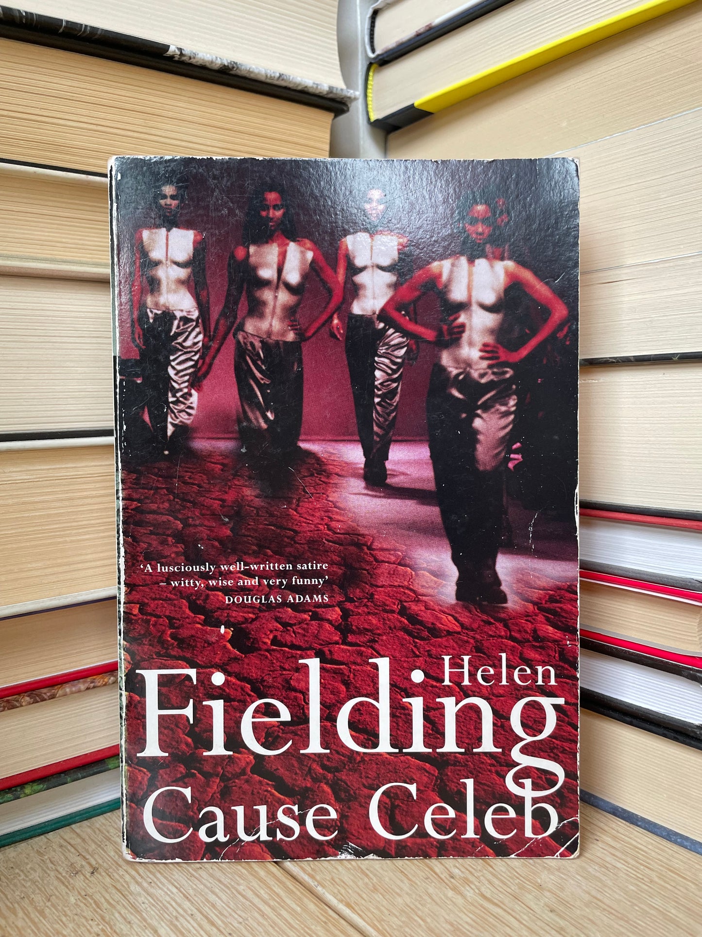 Helen Fielding - Cause Celeb