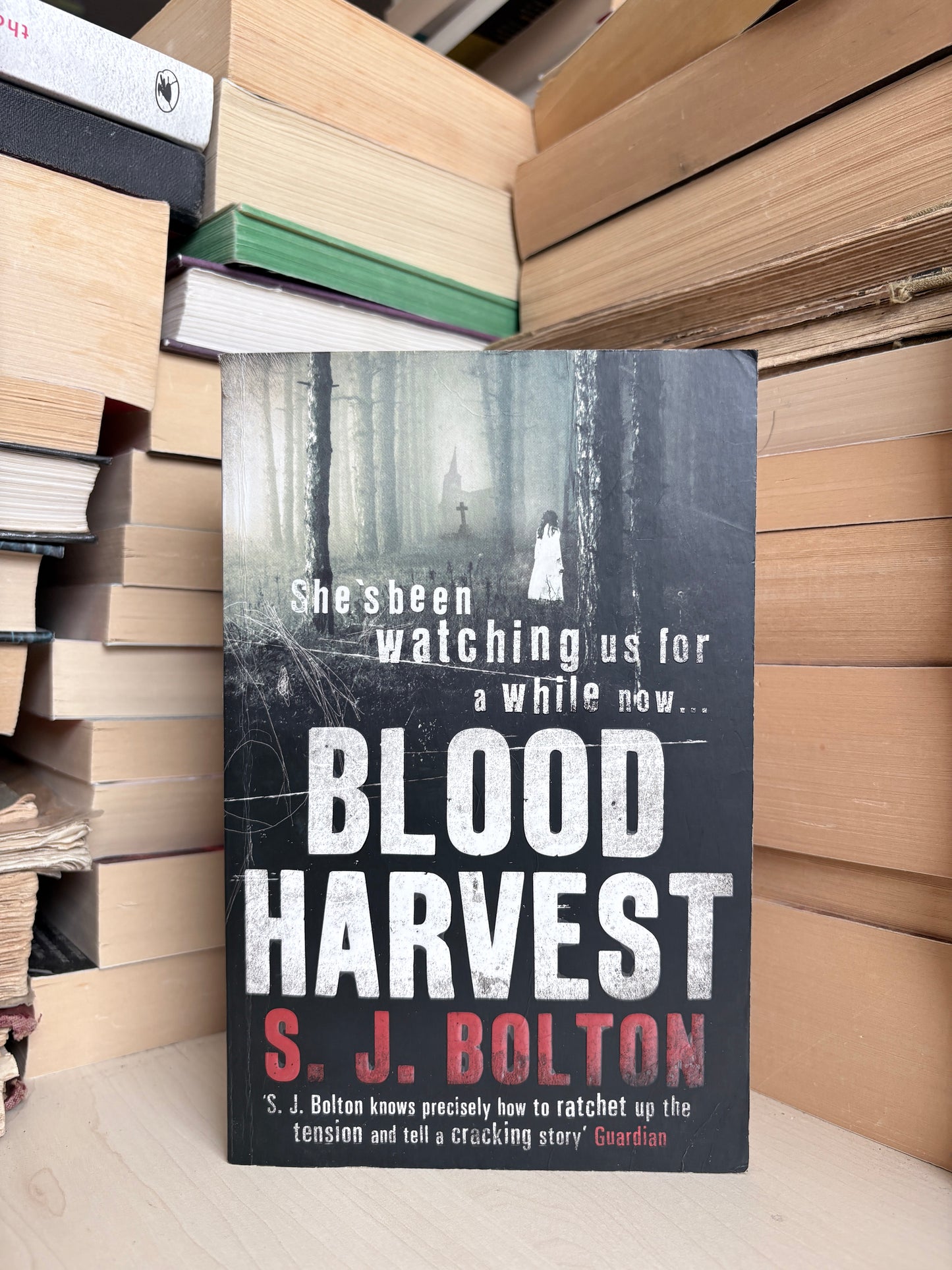 S. J. Bolton - Blood Harvest