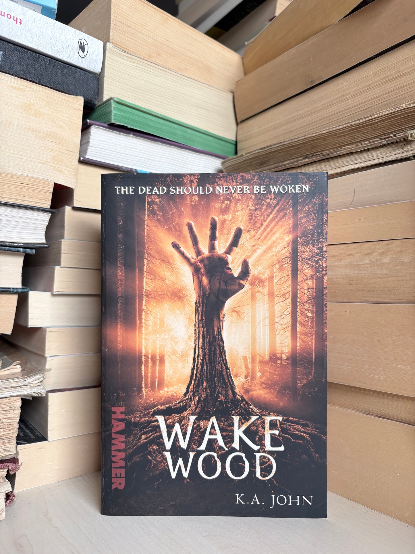 K. A. John - Wake Wood