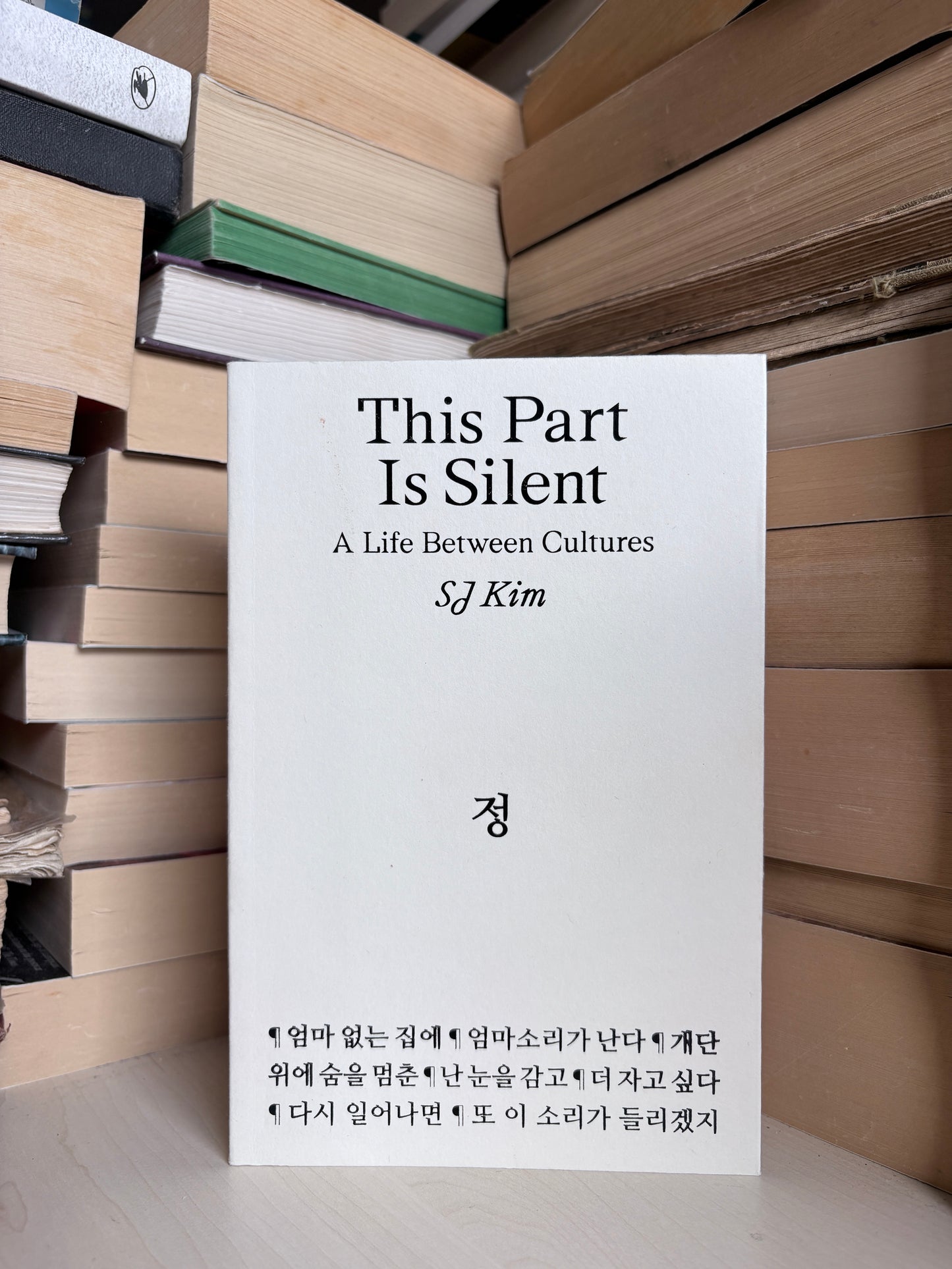 SJ Kim - This Part Is Silent