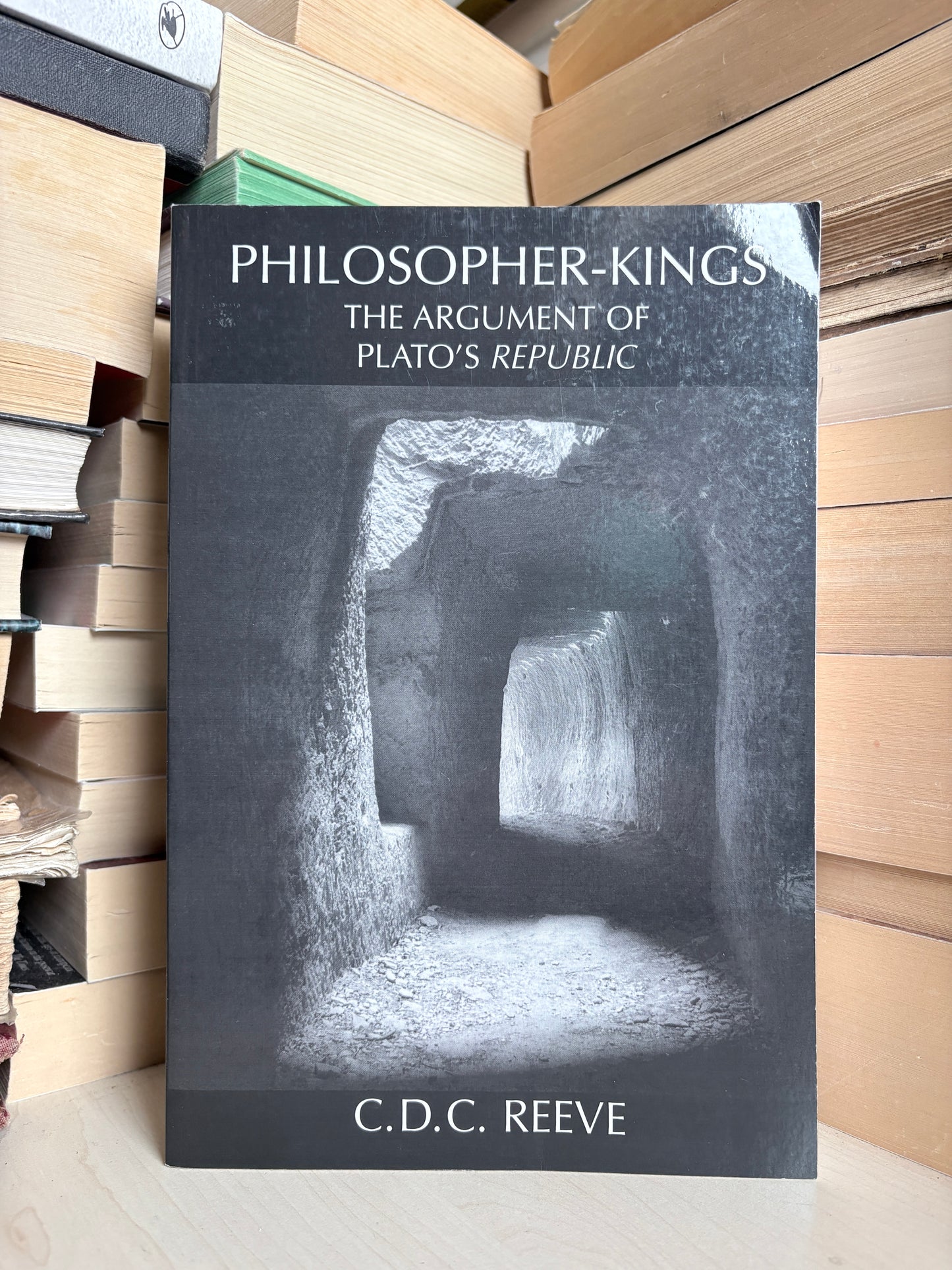 C. D. C. Reeve - Philosopher-Kings: The Argument of Plato's Republic