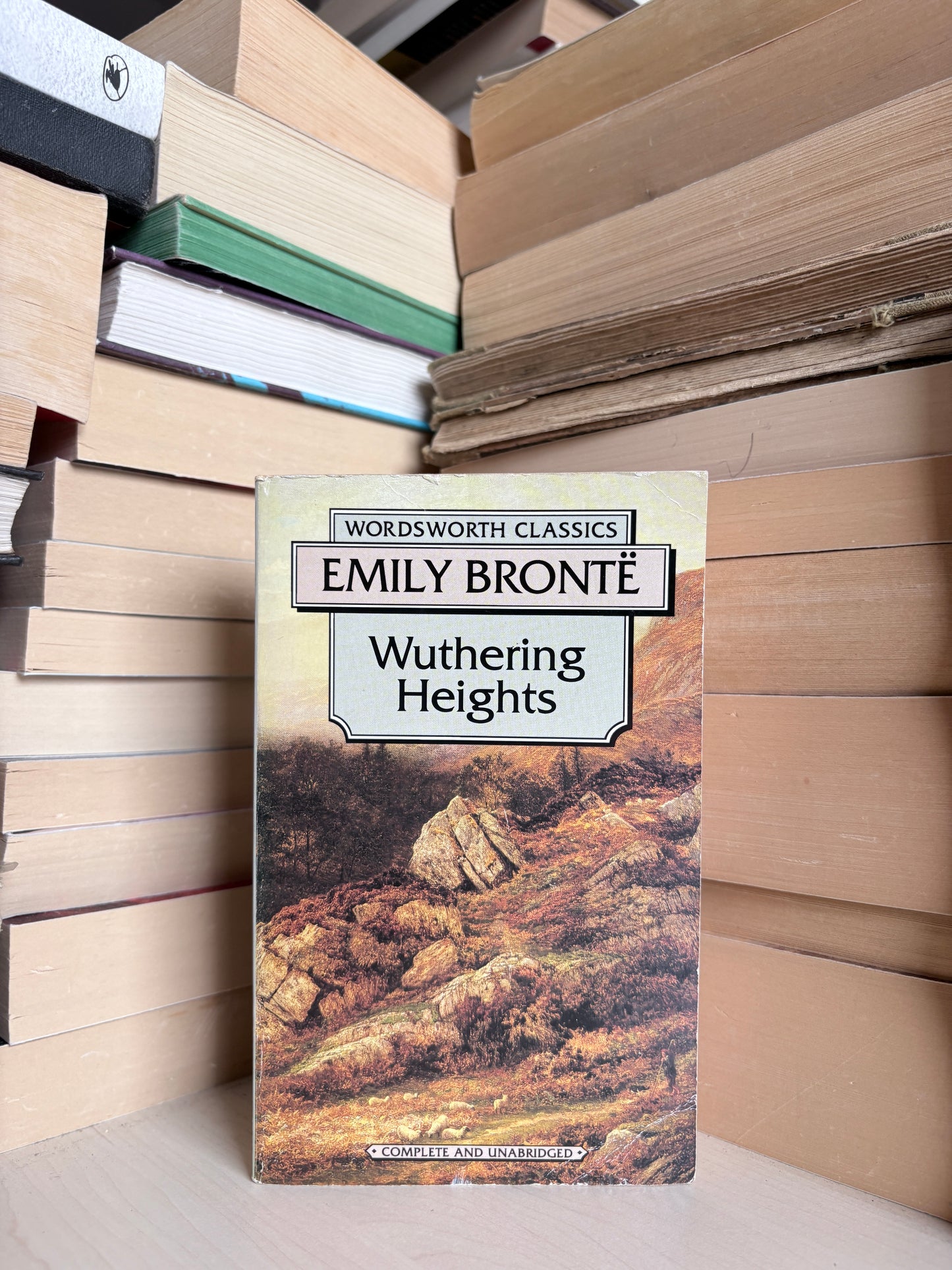 Emily Bronte - Wuthering Heights