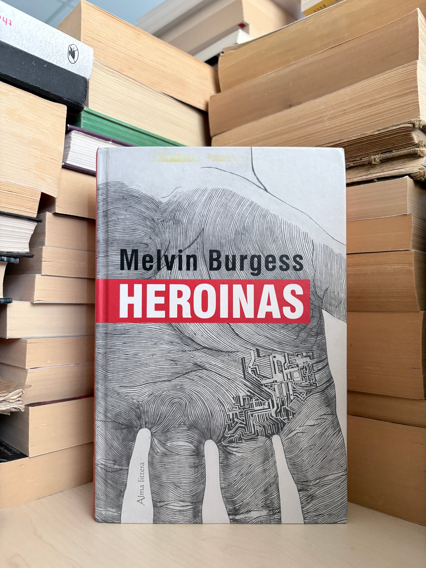 Melvin Burgess - ,,Heroinas"