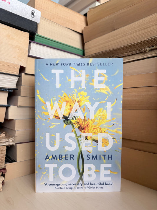 Amber Smith - The Way I Used to Be