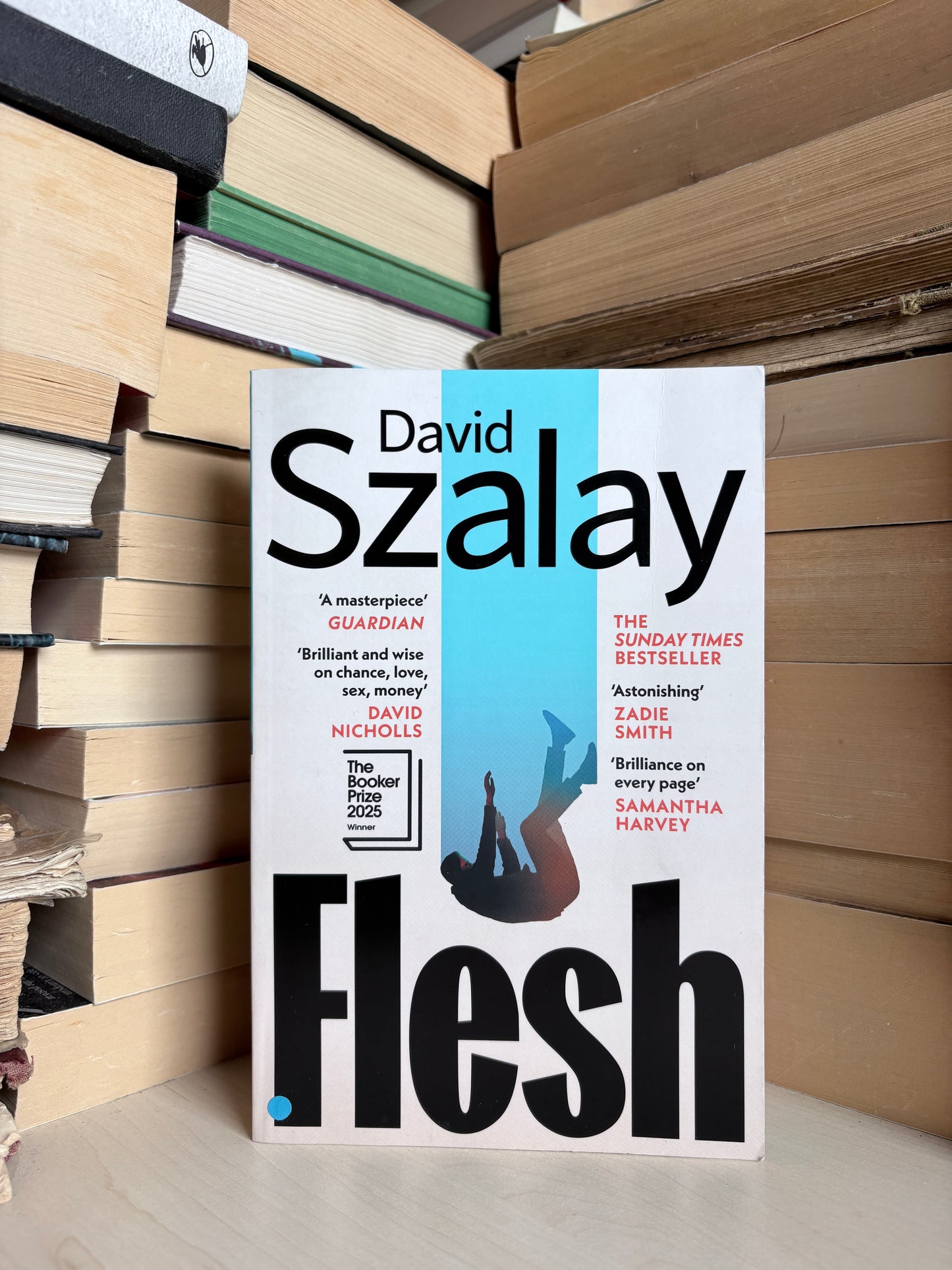 David Szalay - Flesh